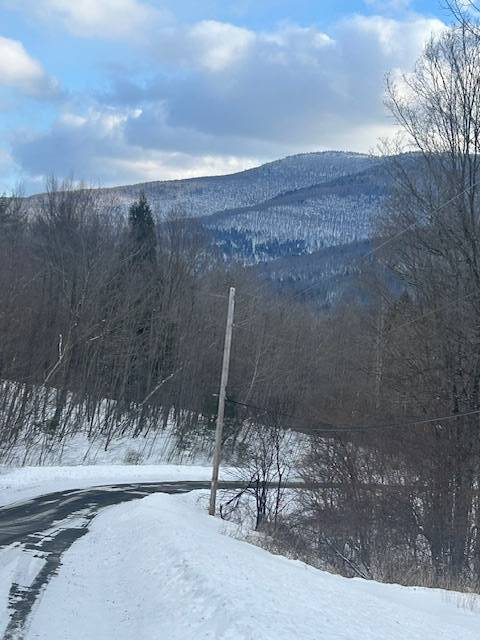 #8 photo, 159 Cloos Rd., South Jewett , NY 12444