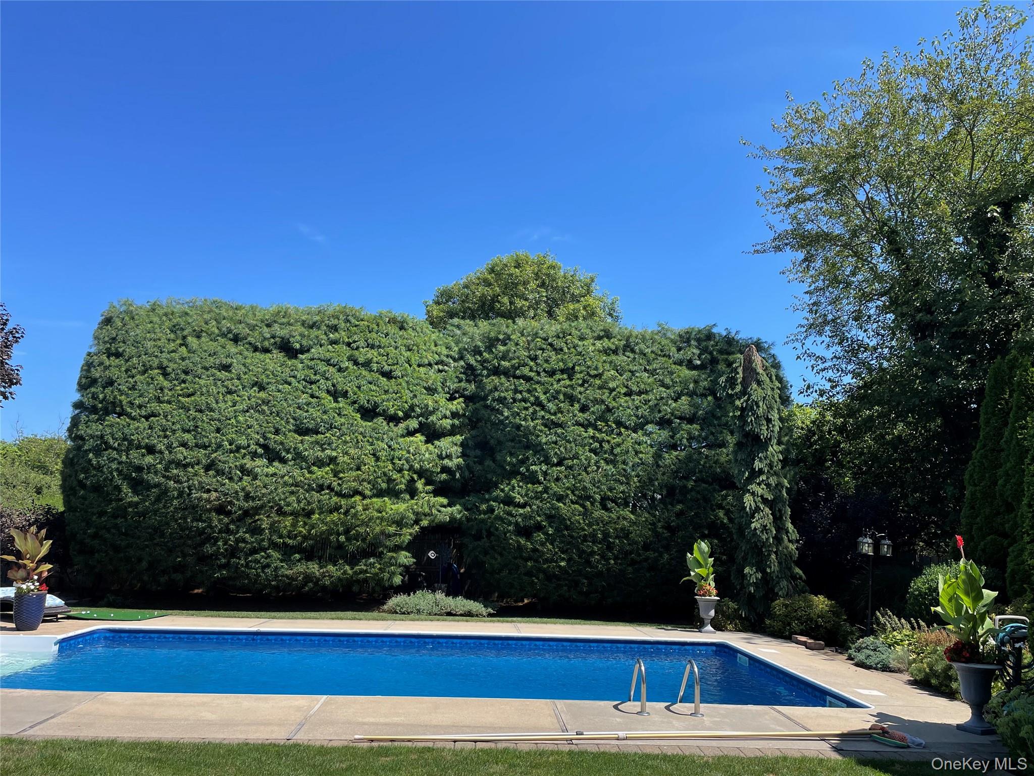 #14 photo, 5 Lea Avenue, 東長島 Manorville , NY 11949