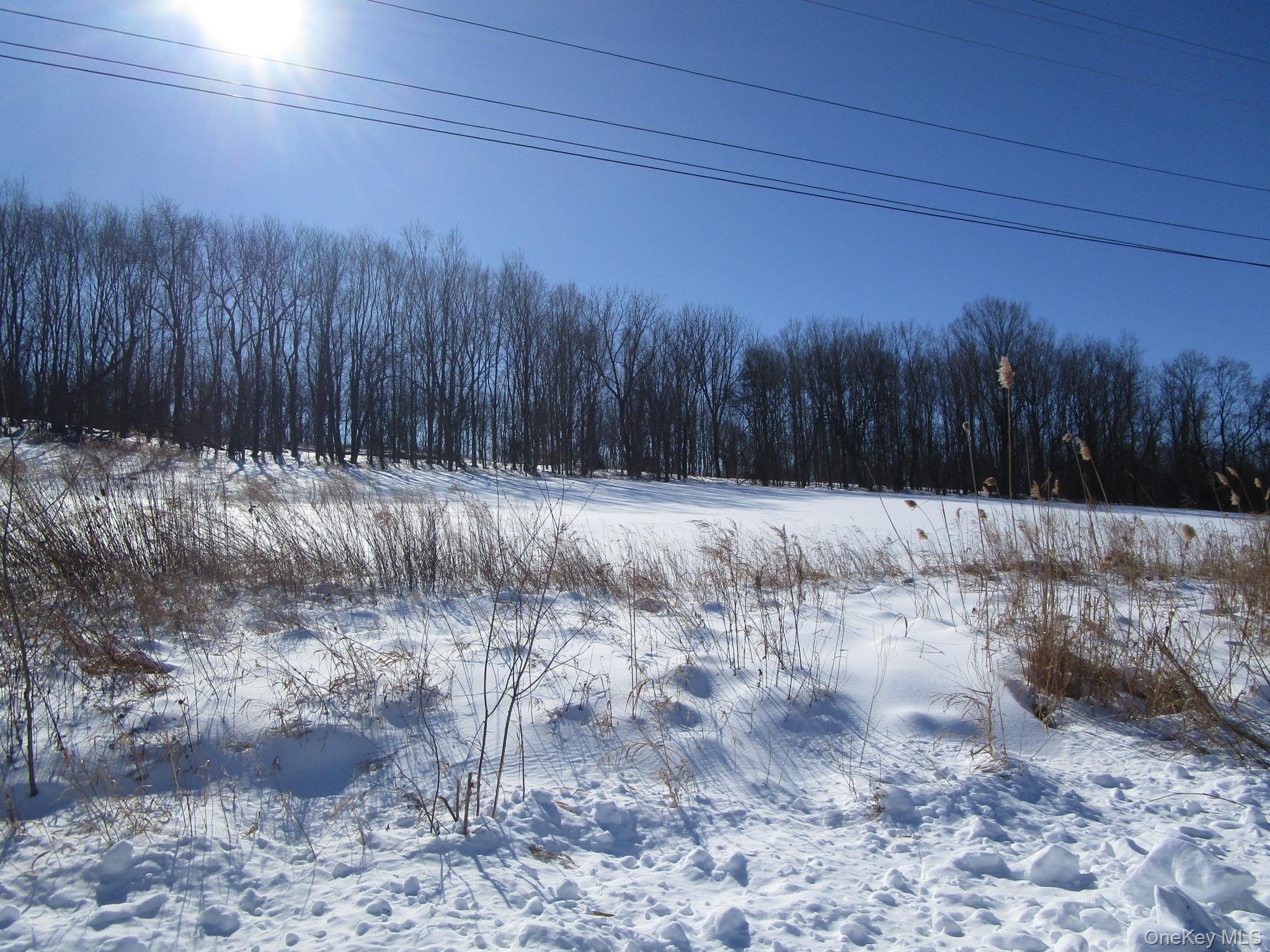 #8 photo, 853 Pulaski Highway, Goshen , NY 10924