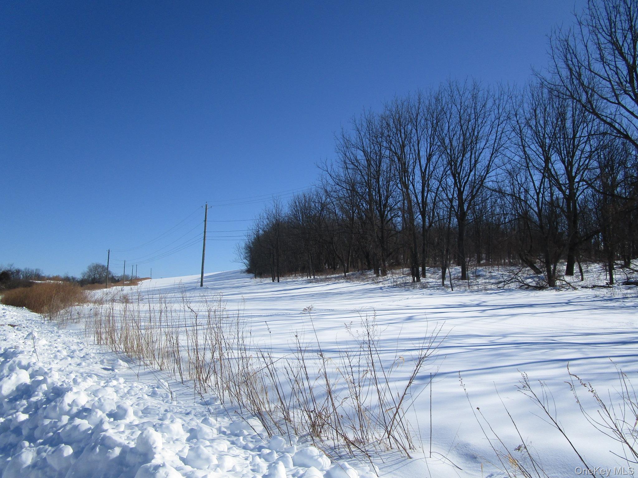 #9 photo, 853 Pulaski Highway, Goshen , NY 10924