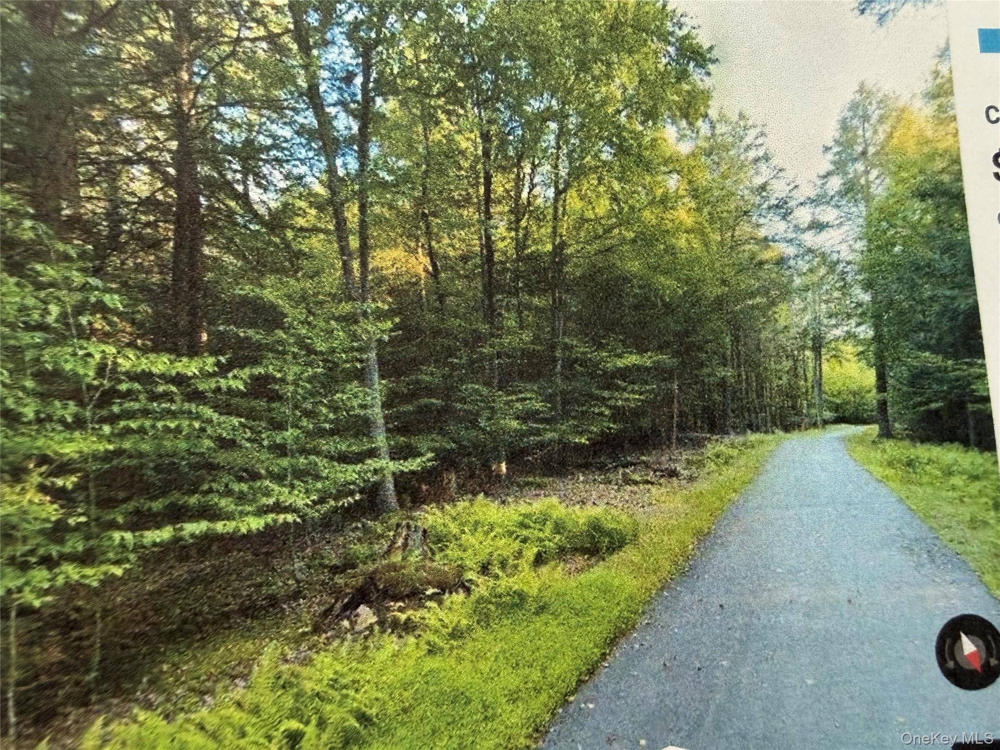 #1 photo, Highview Drive, Bethel , NY 12720
