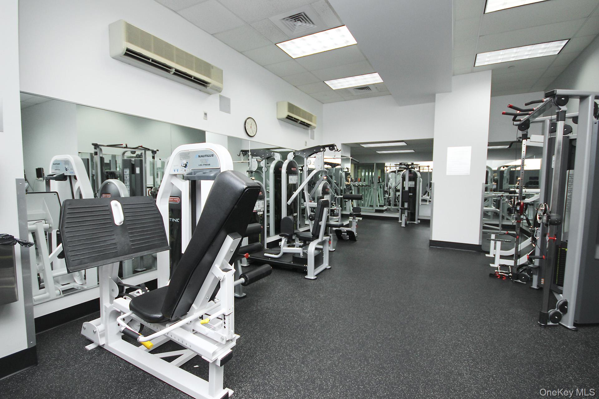 #16 photo, 4-74 48th Avenue, Long Island City , NY 11109