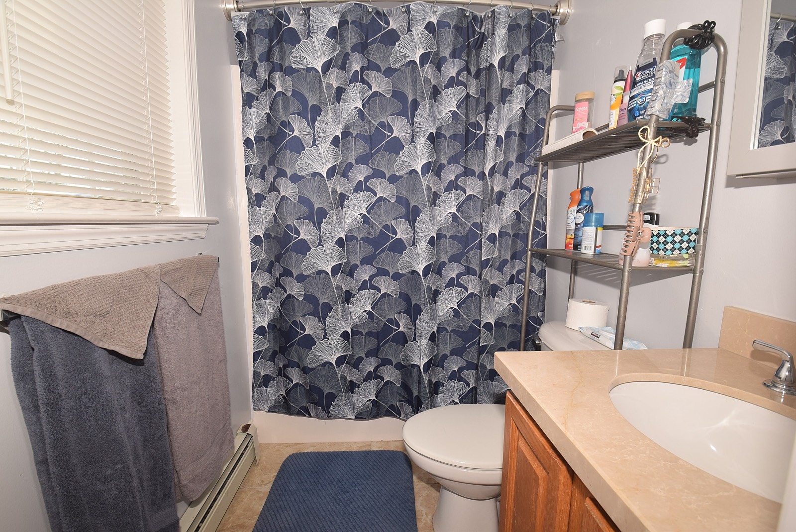 #10 photo, 125 Dana, Mastic , NY 11950