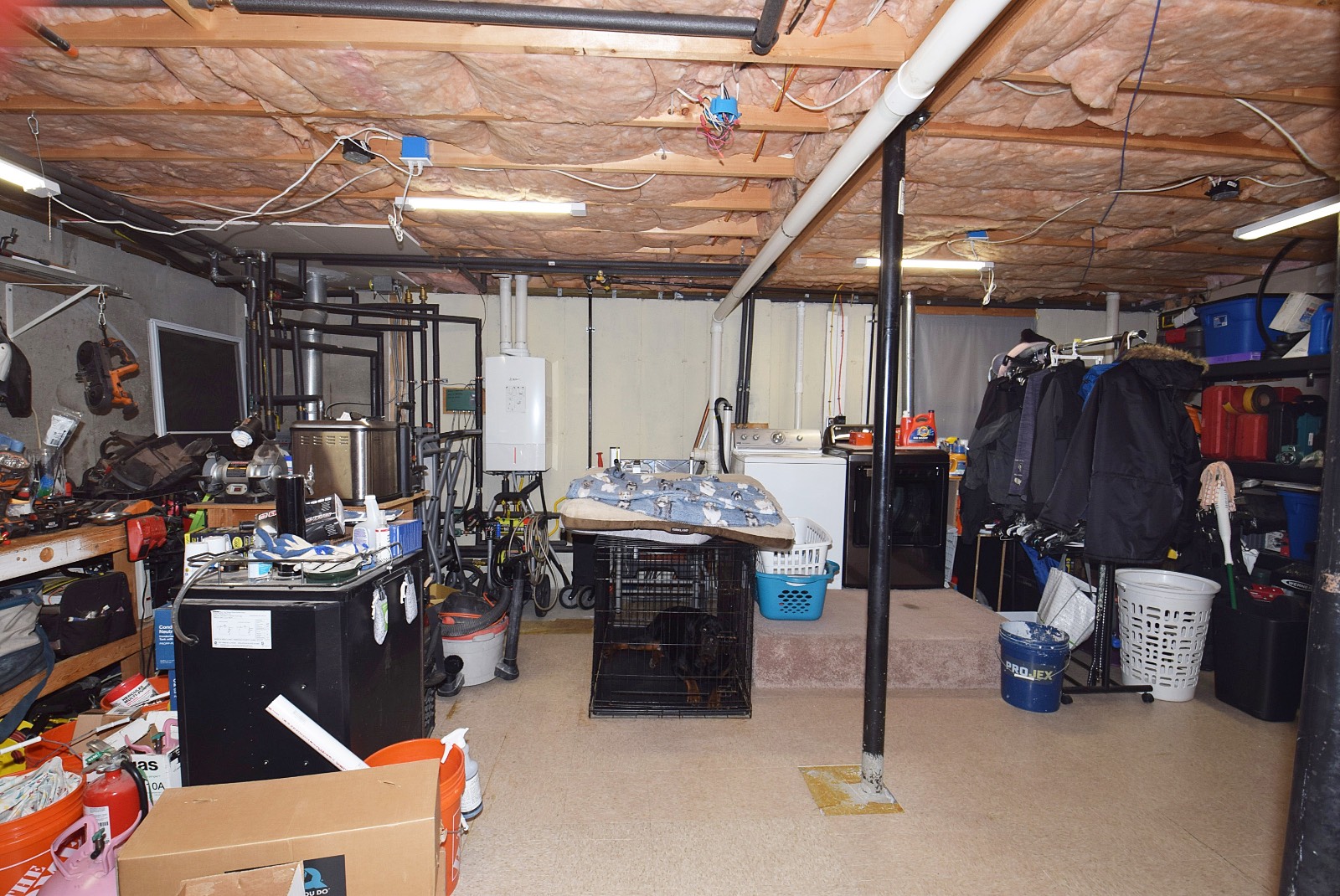 #15 photo, 125 Dana, Mastic , NY 11950