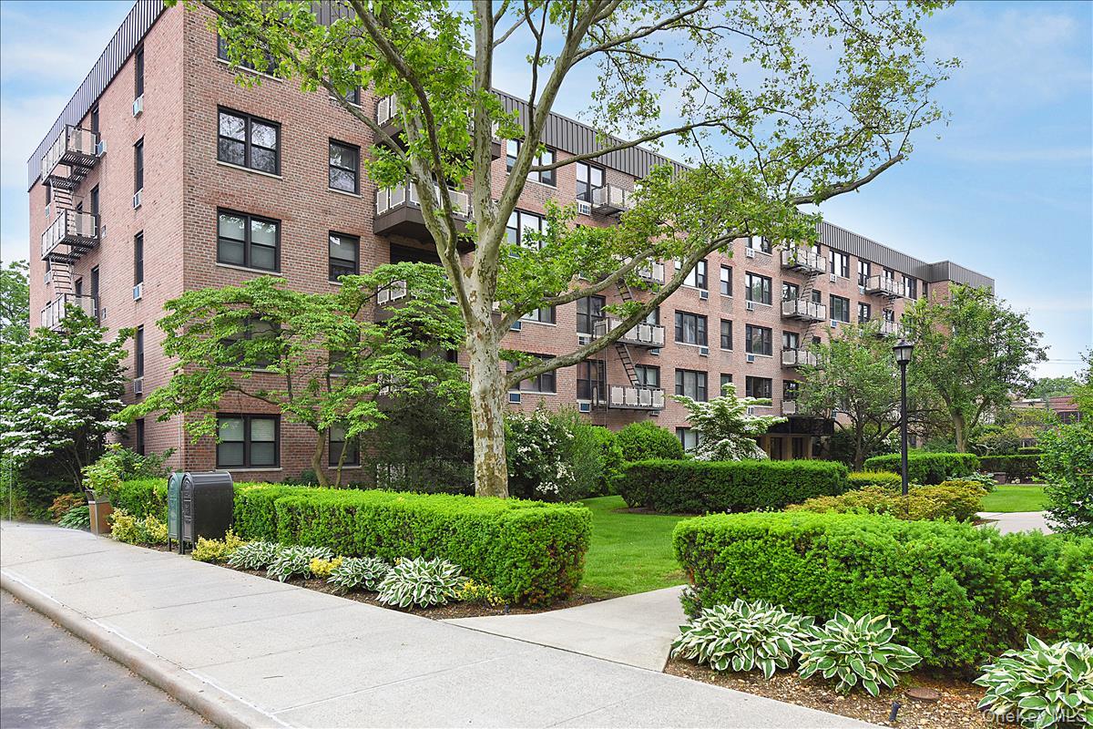 #1 photo, 4 Birchwood Court, מחוז נסאו Mineola , NY 11501