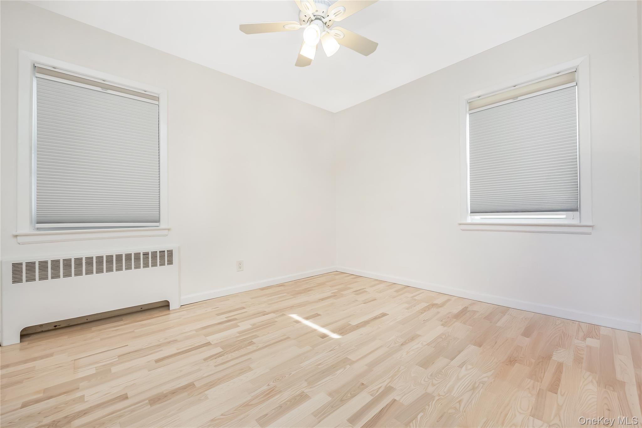 #18 photo, 159 Avon Place, West Hempstead , NY 11552