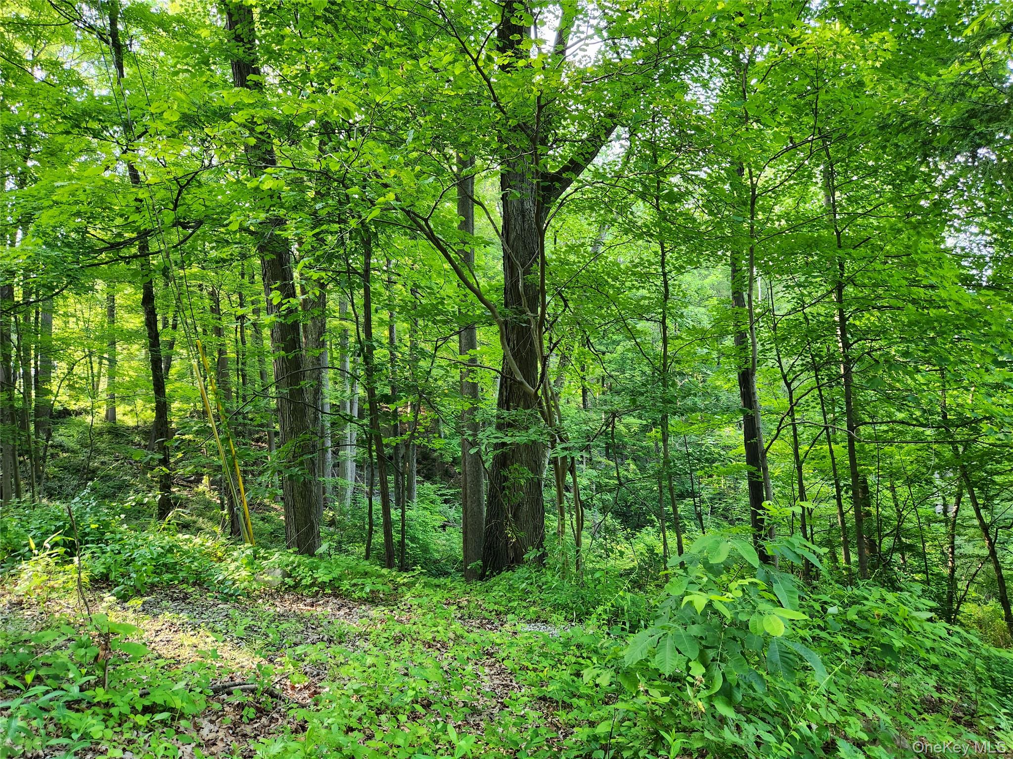 #1 photo, 106 Upland Drive, Garrison , NY 10524