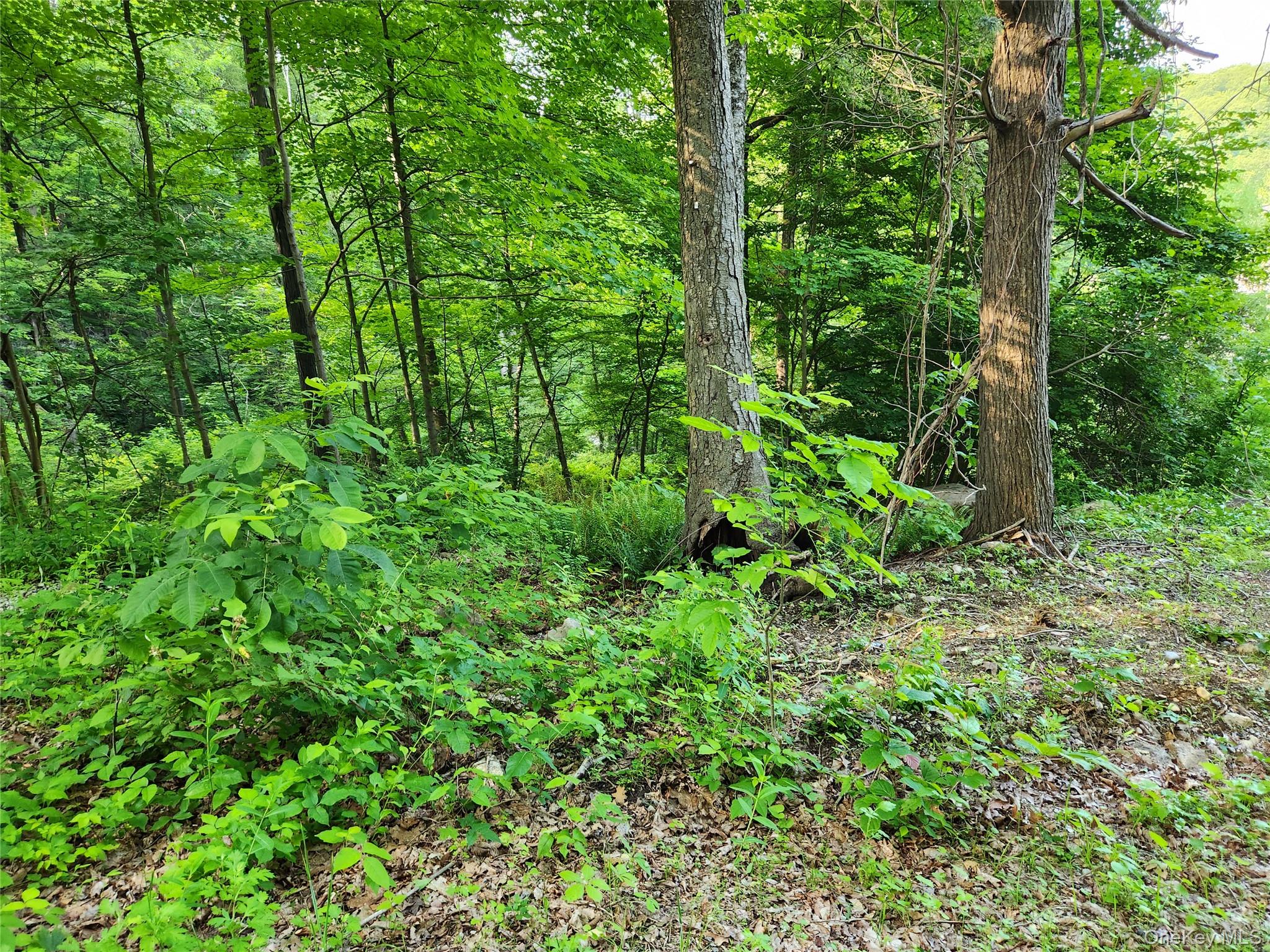 #2 photo, 106 Upland Drive, Garrison , NY 10524