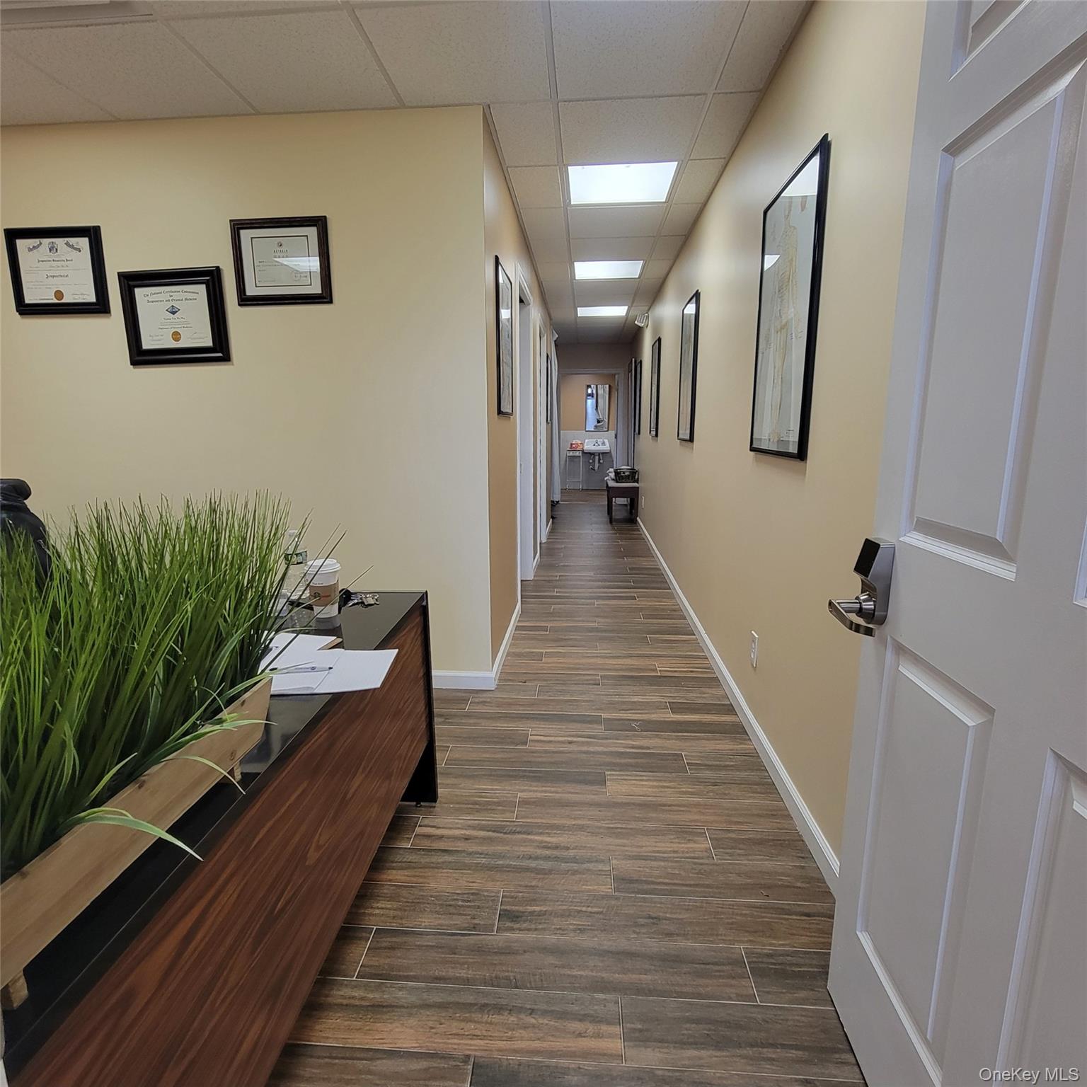 #4 photo, 230 E Meadow Avenue, East Meadow , NY 11554