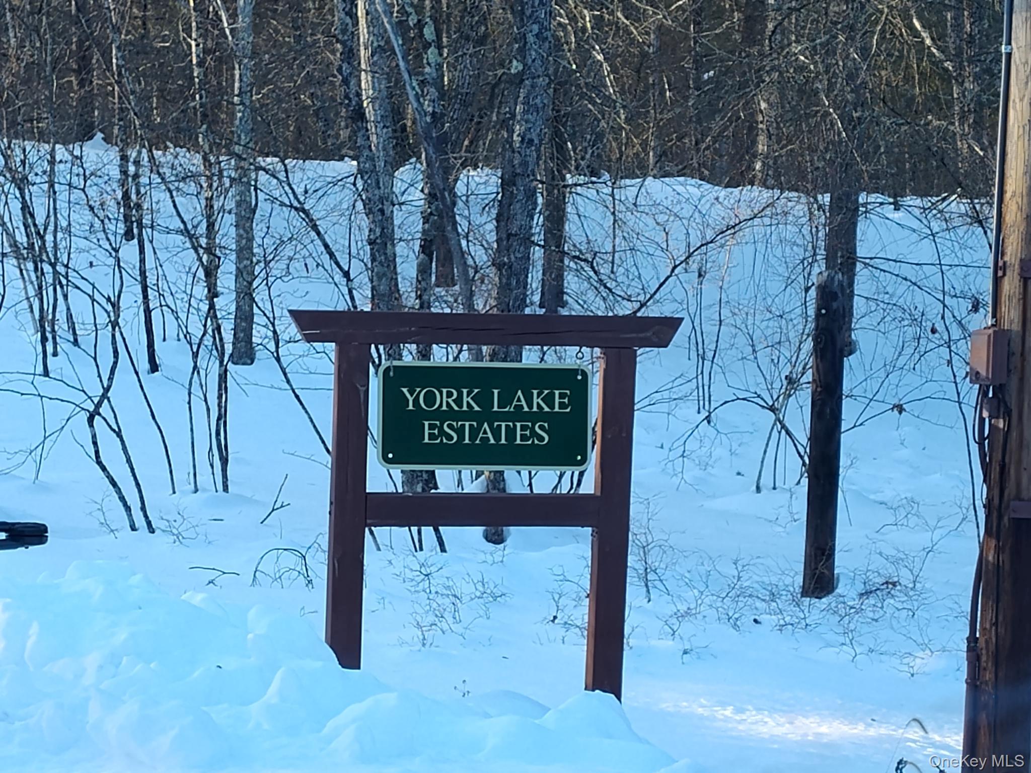 #1 photo, YORK LAKE ESTATES ROAD York Lake Estates Road, Barryville , NY 12528