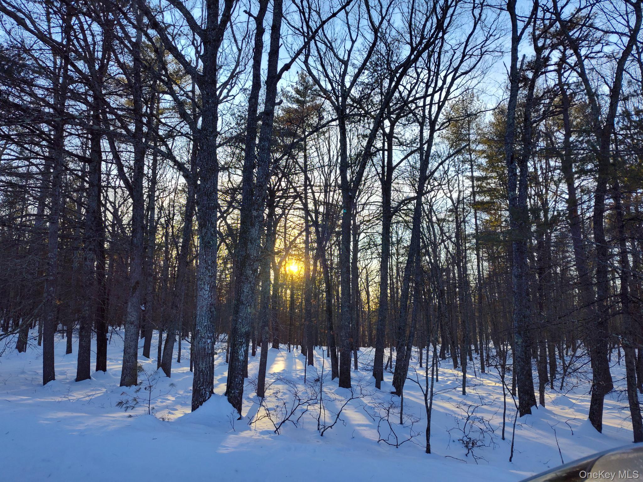 #3 photo, YORK LAKE ESTATES ROAD York Lake Estates Road, Barryville , NY 12528