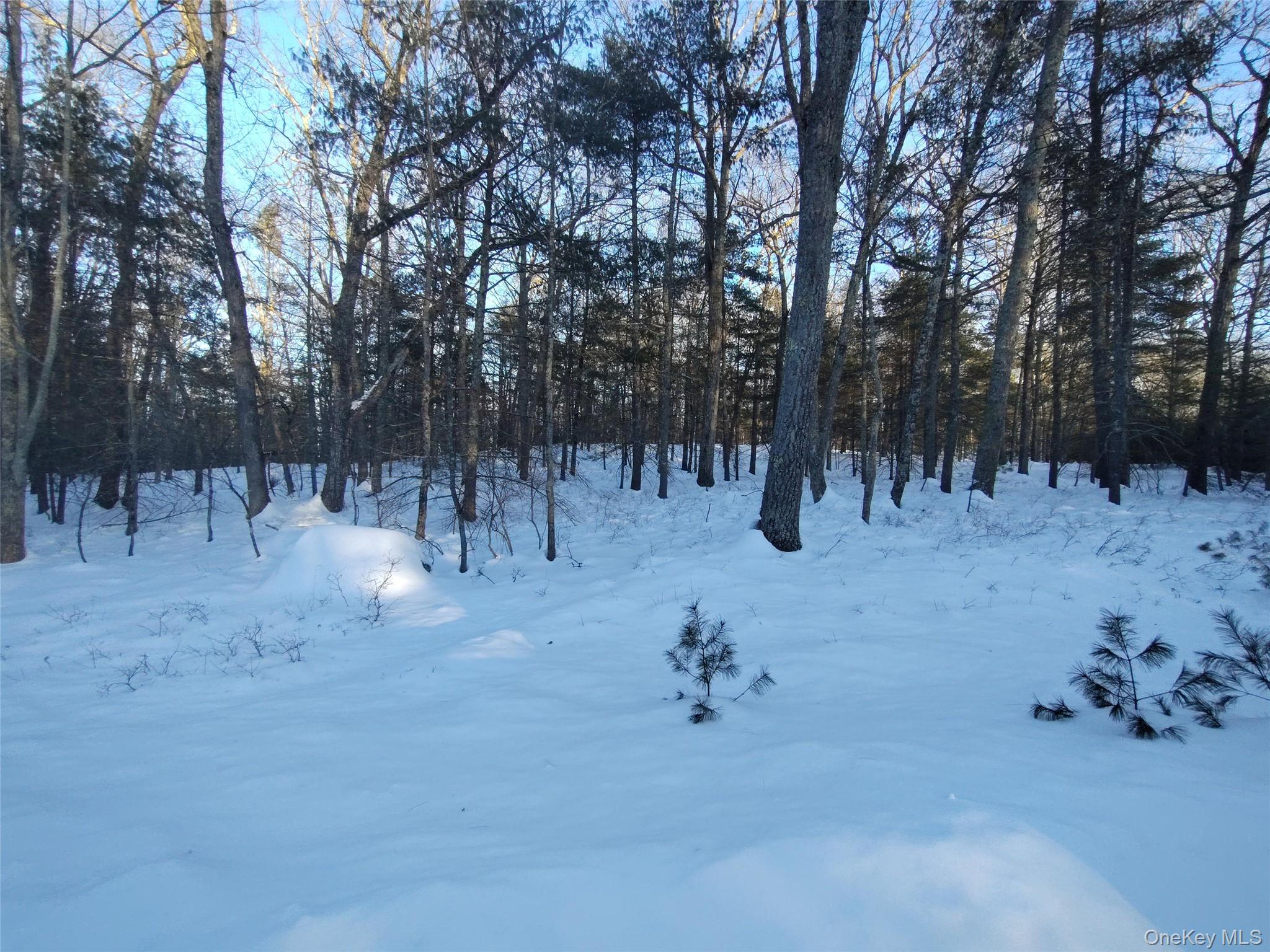 #4 photo, YORK LAKE ESTATES ROAD York Lake Estates Road, Barryville , NY 12528