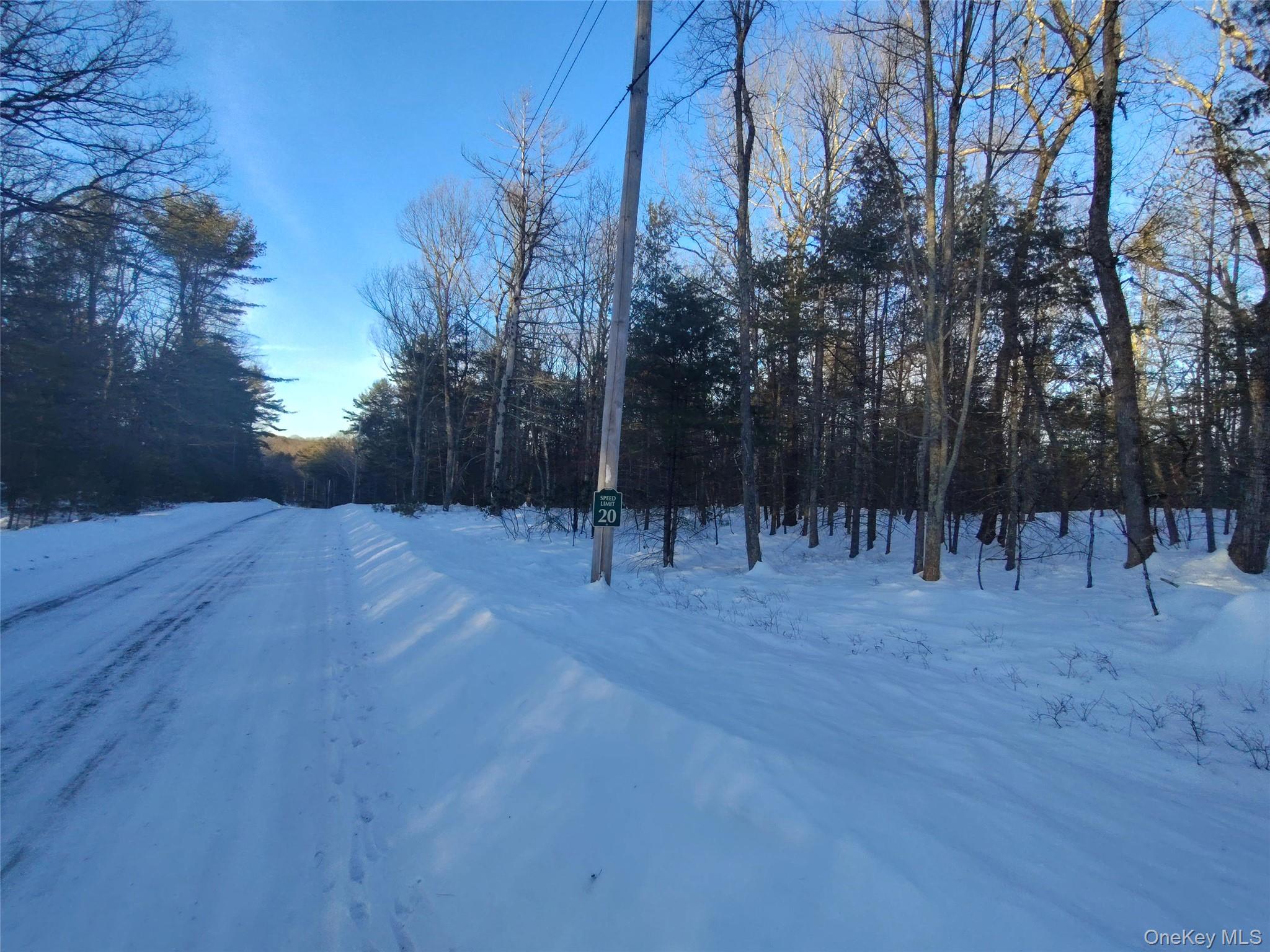 #5 photo, YORK LAKE ESTATES ROAD York Lake Estates Road, Barryville , NY 12528