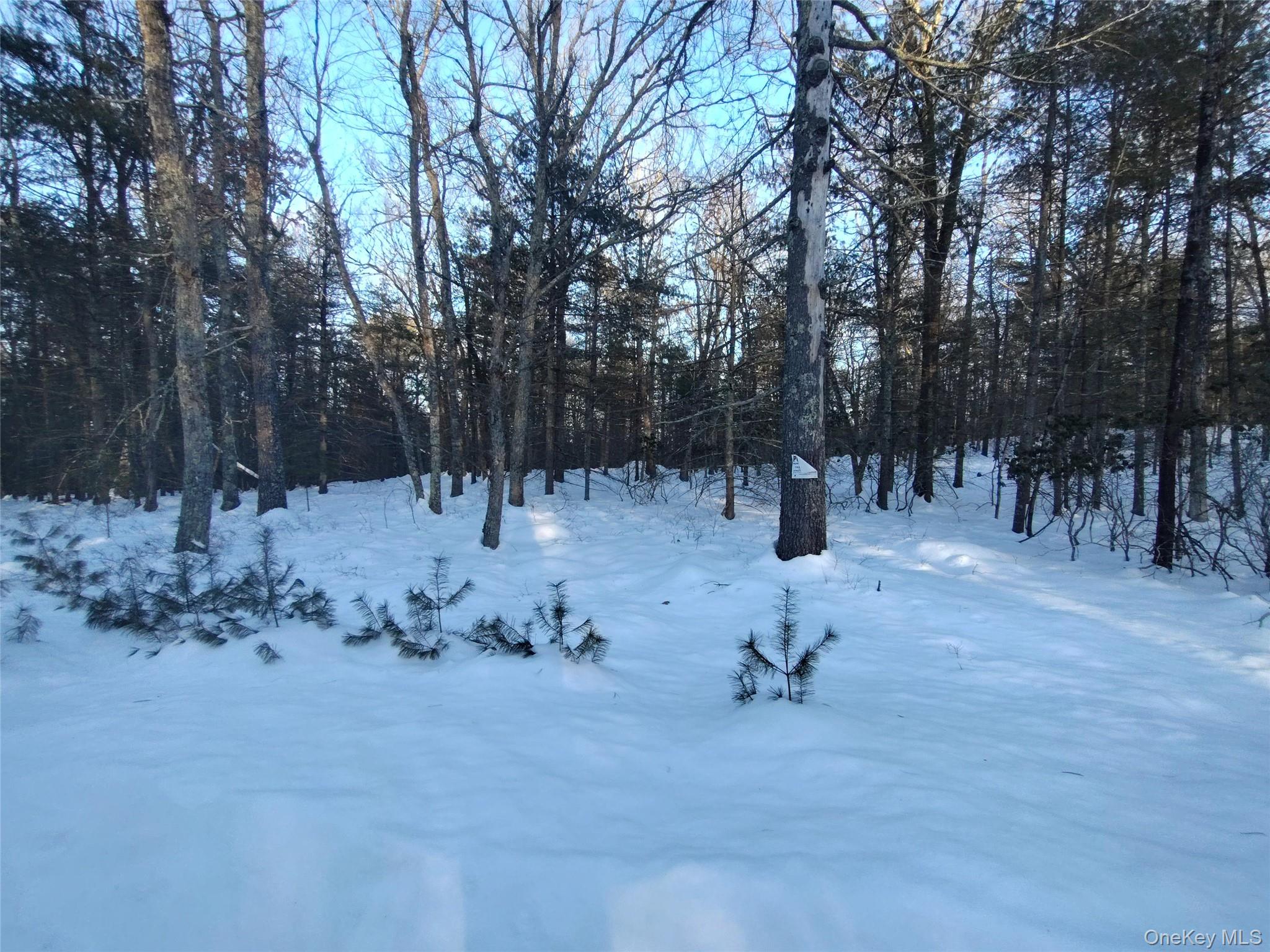 #6 photo, YORK LAKE ESTATES ROAD York Lake Estates Road, Barryville , NY 12528