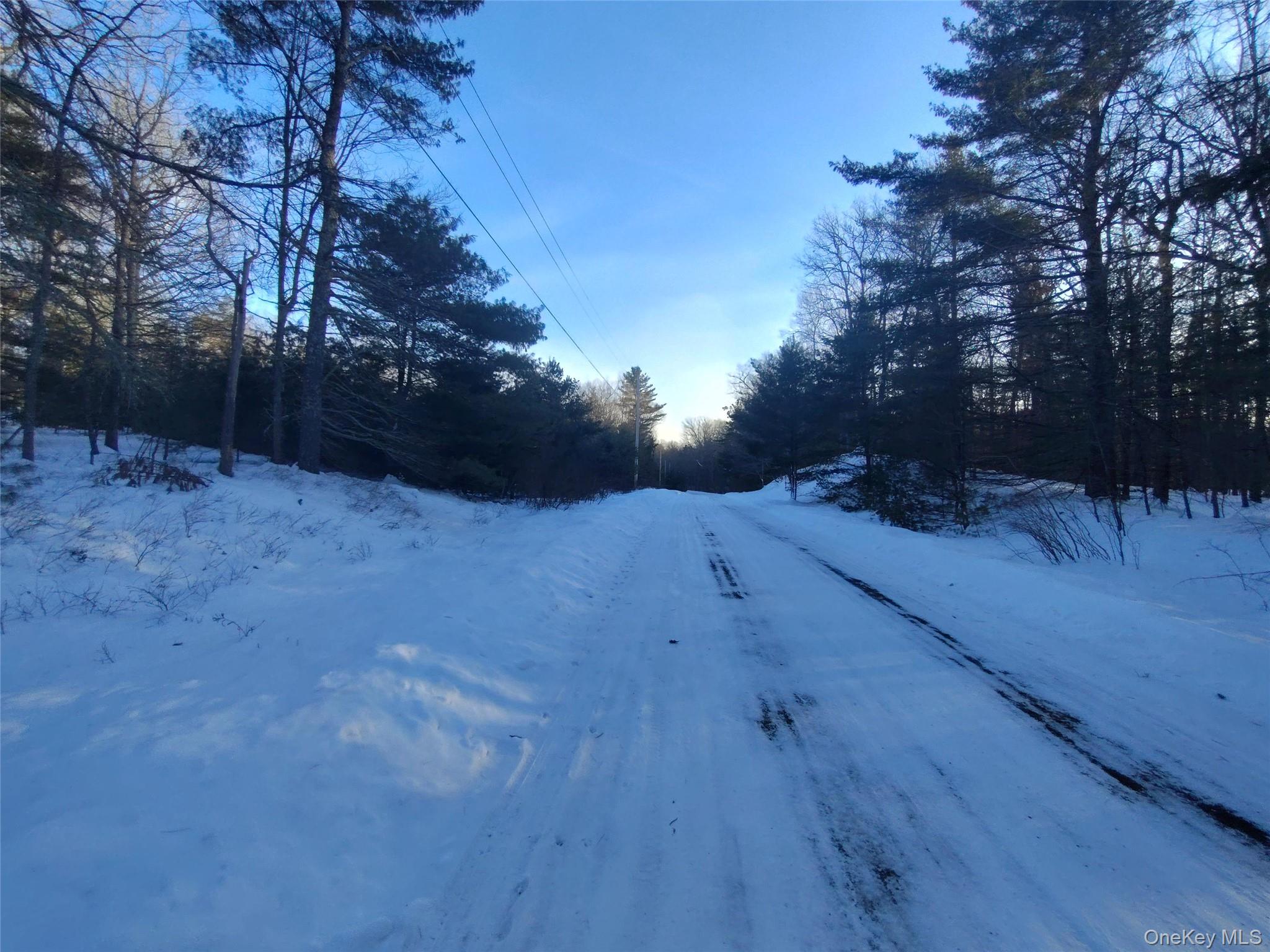 #8 photo, YORK LAKE ESTATES ROAD York Lake Estates Road, Barryville , NY 12528