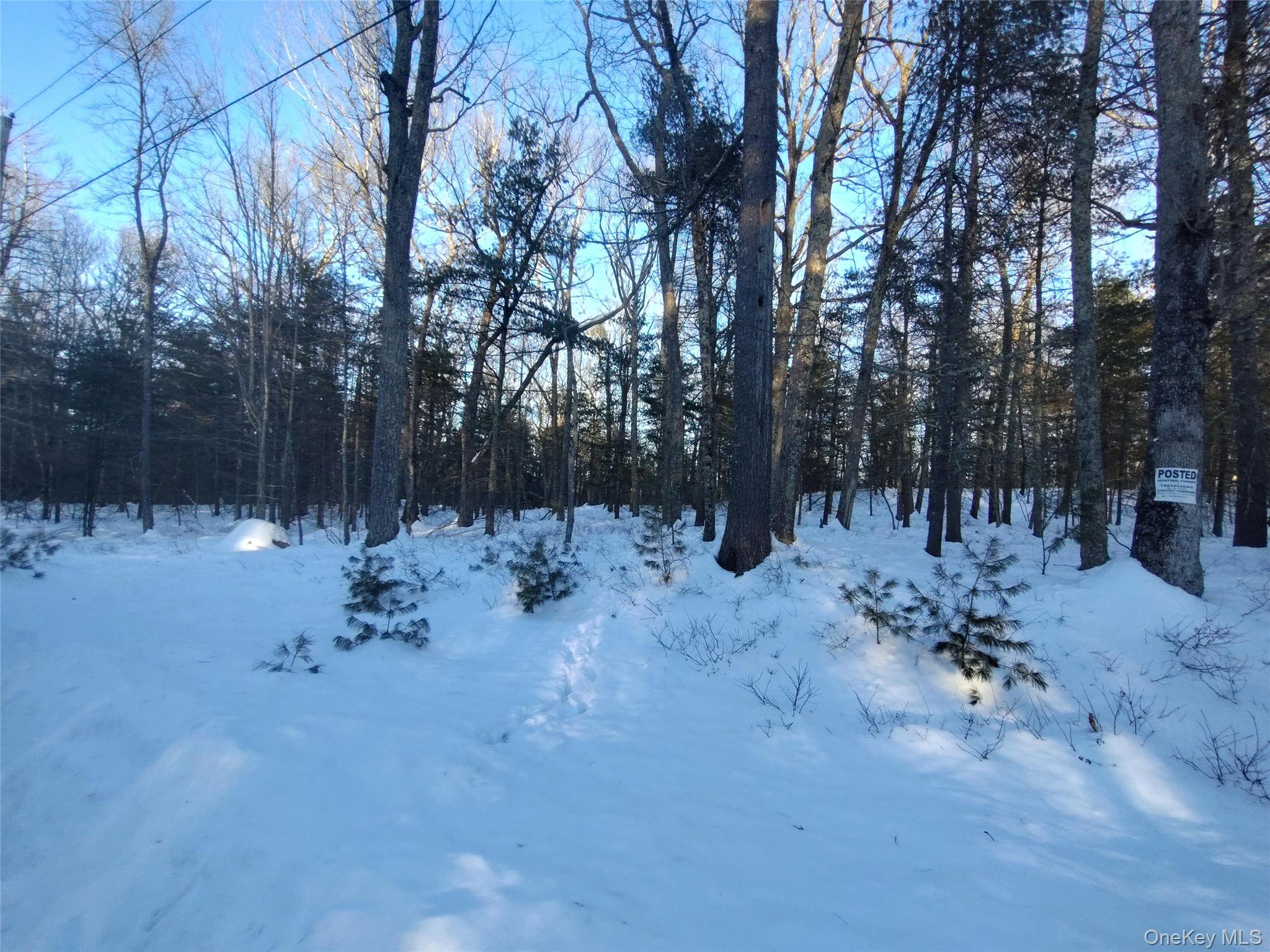 #9 photo, YORK LAKE ESTATES ROAD York Lake Estates Road, Barryville , NY 12528