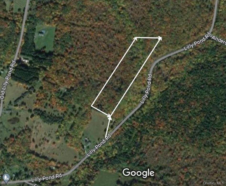 #1 photo, Lily Pond Road, Parksville , NY 12768
