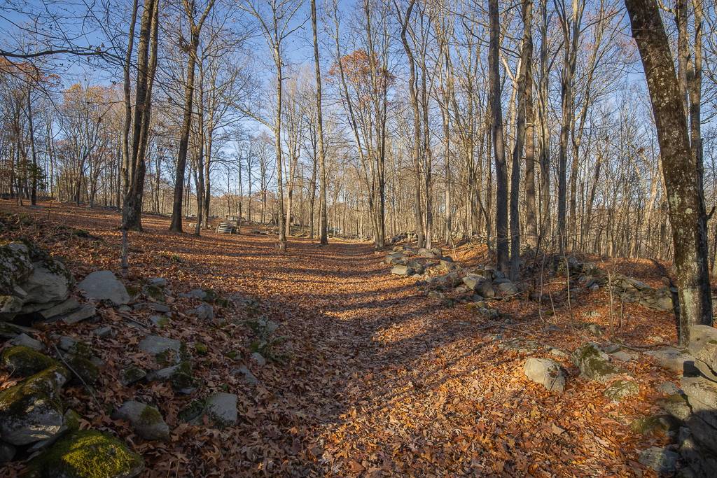 #31 photo, 355 Fosler Rd, Wallkill , NY 12589