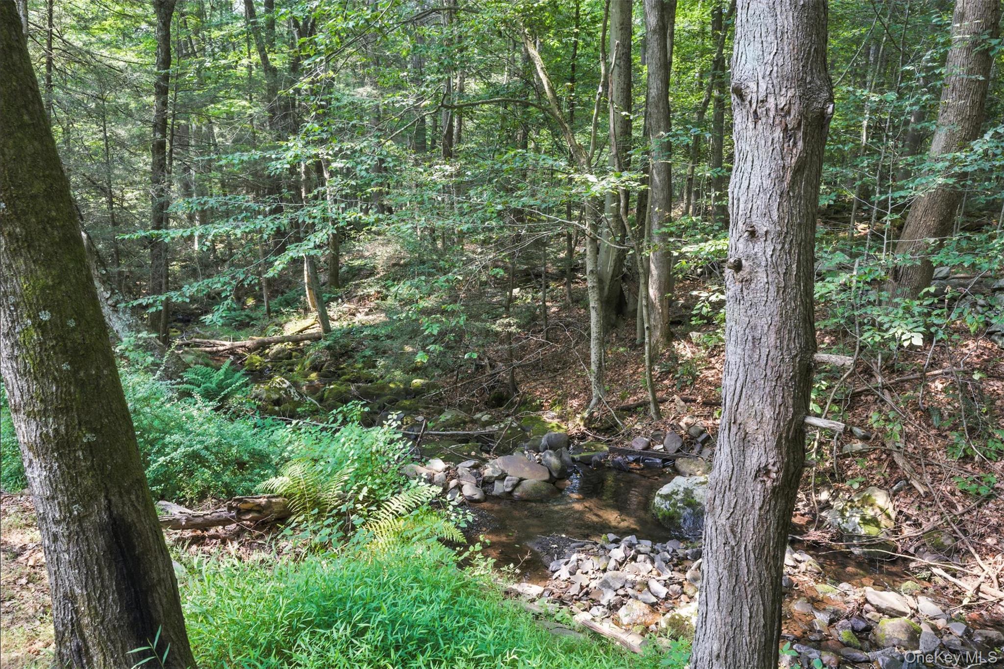 #19 photo, 269 Oakland Valley Road, Cuddebackville , NY 12729