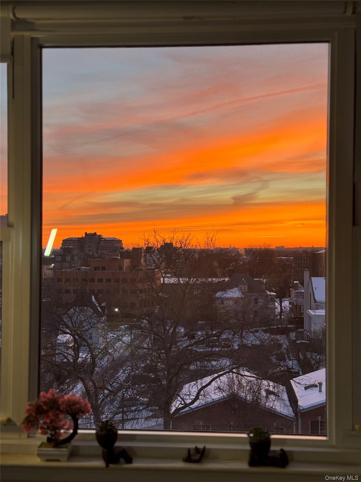 #20 photo, 164-20 Highland Avenue, クイーンズ区 Jamaica , NY 11432