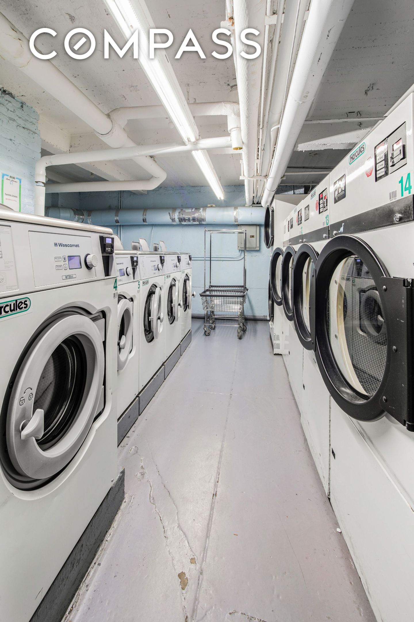 #13 photo, 657 E 26th Street, Flatbush , NY 11210