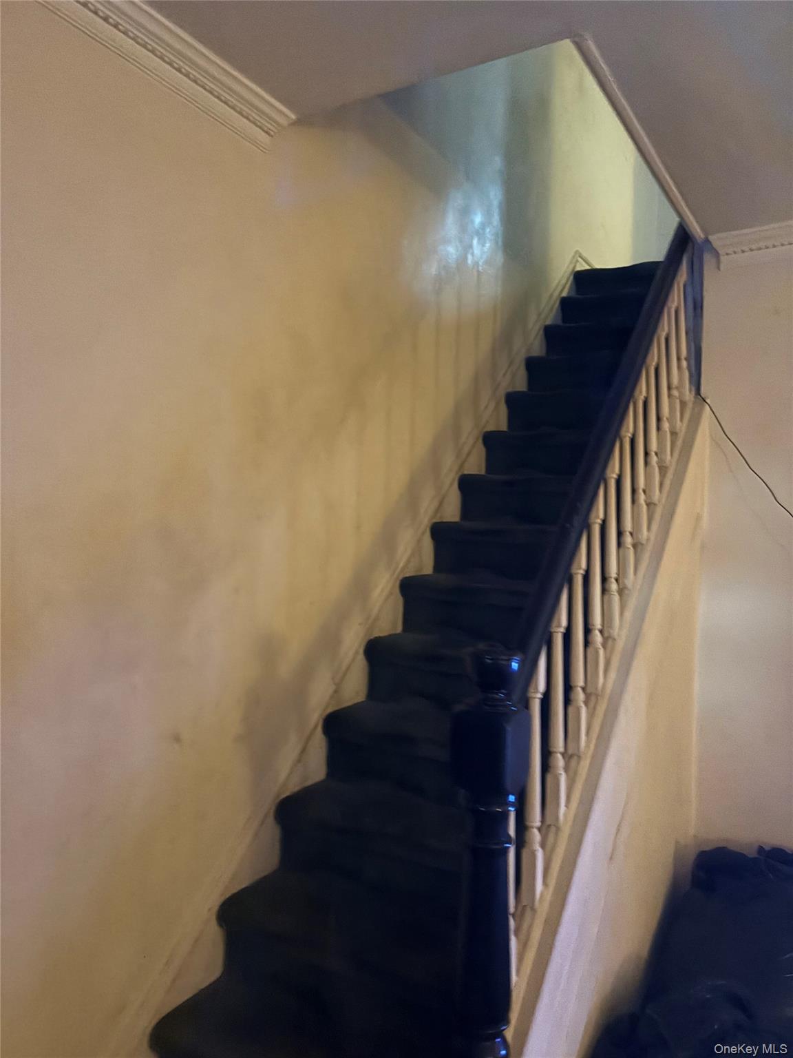 #2 photo, 510 E 51st Street, ব্রুকলিন Brooklyn , NY 11203