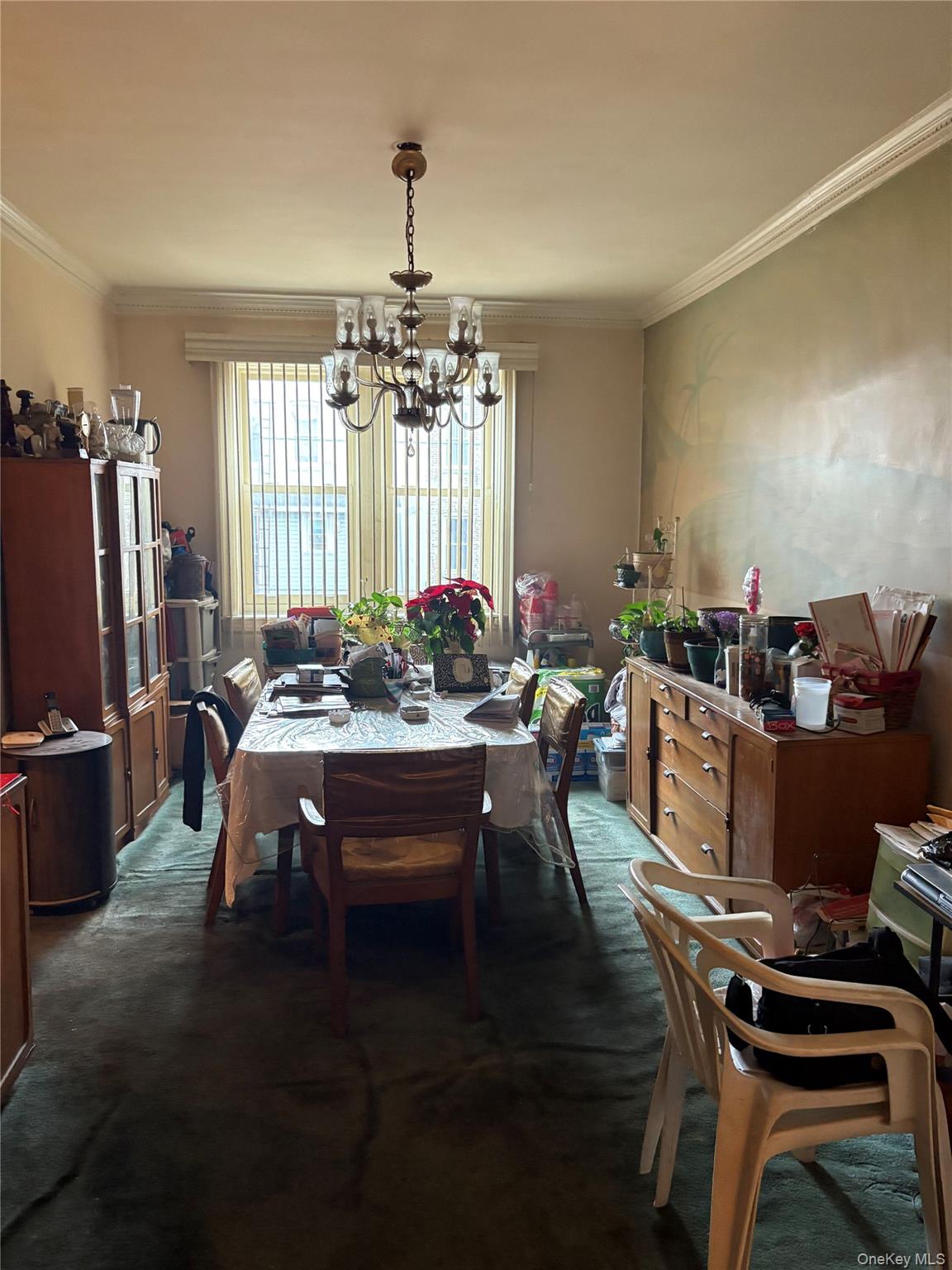 #3 photo, 510 E 51st Street, ব্রুকলিন Brooklyn , NY 11203