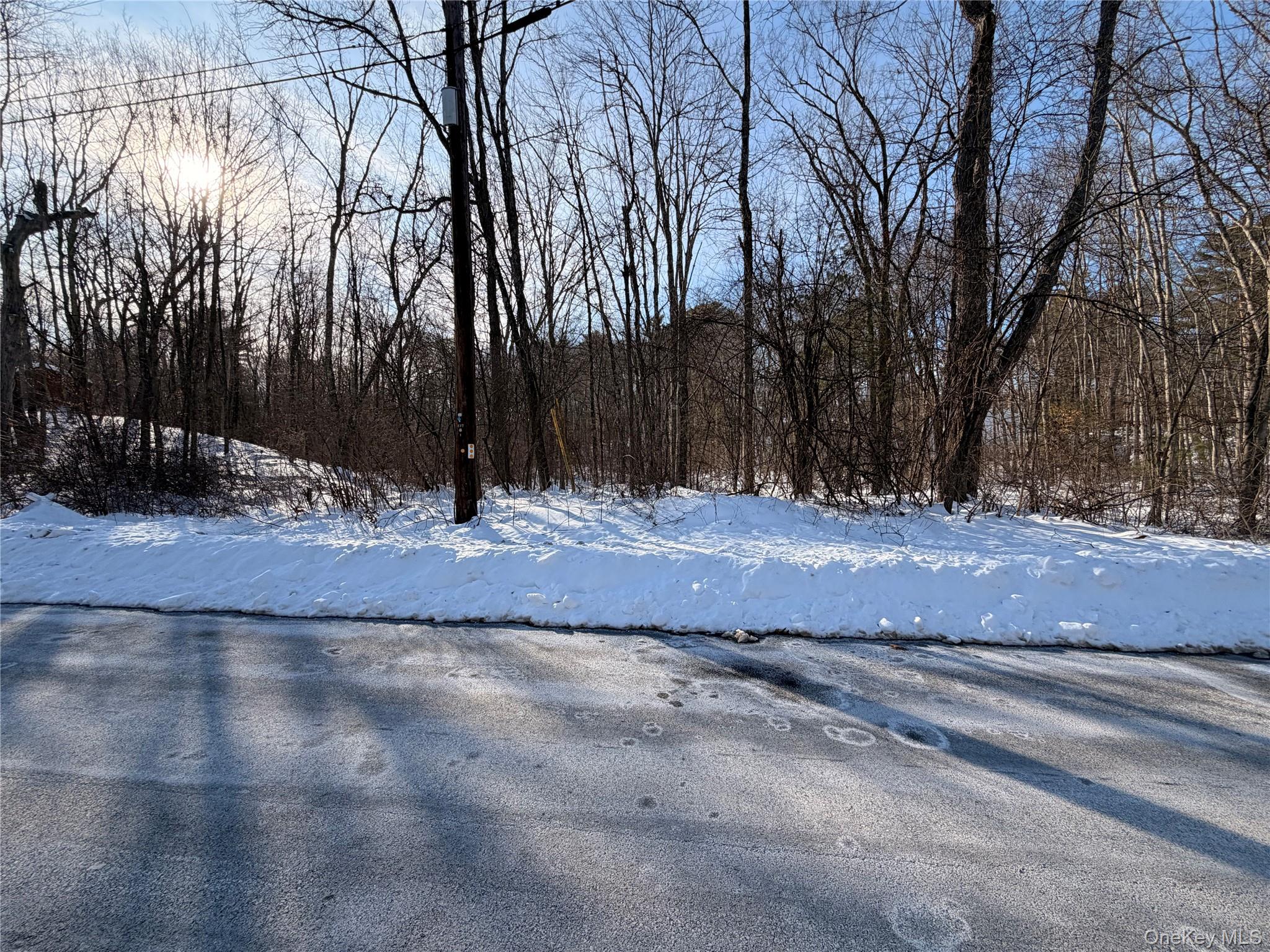 #2 photo, 11 White Birch Road, Hyde Park , NY 12538