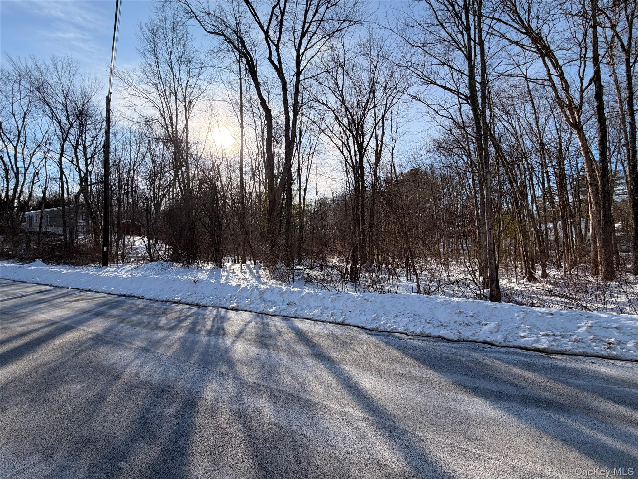 #3 photo, 11 White Birch Road, Hyde Park , NY 12538