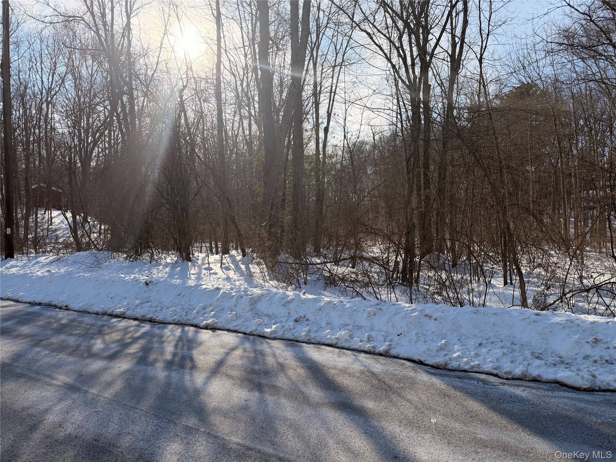 #4 photo, 11 White Birch Road, Hyde Park , NY 12538