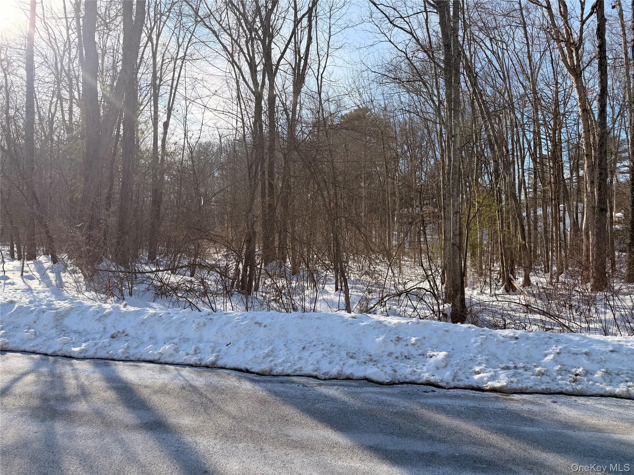 #5 photo, 11 White Birch Road, Hyde Park , NY 12538