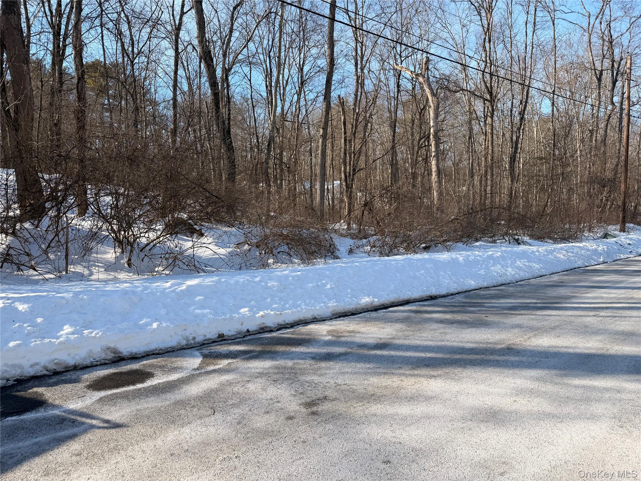 #6 photo, 11 White Birch Road, Hyde Park , NY 12538