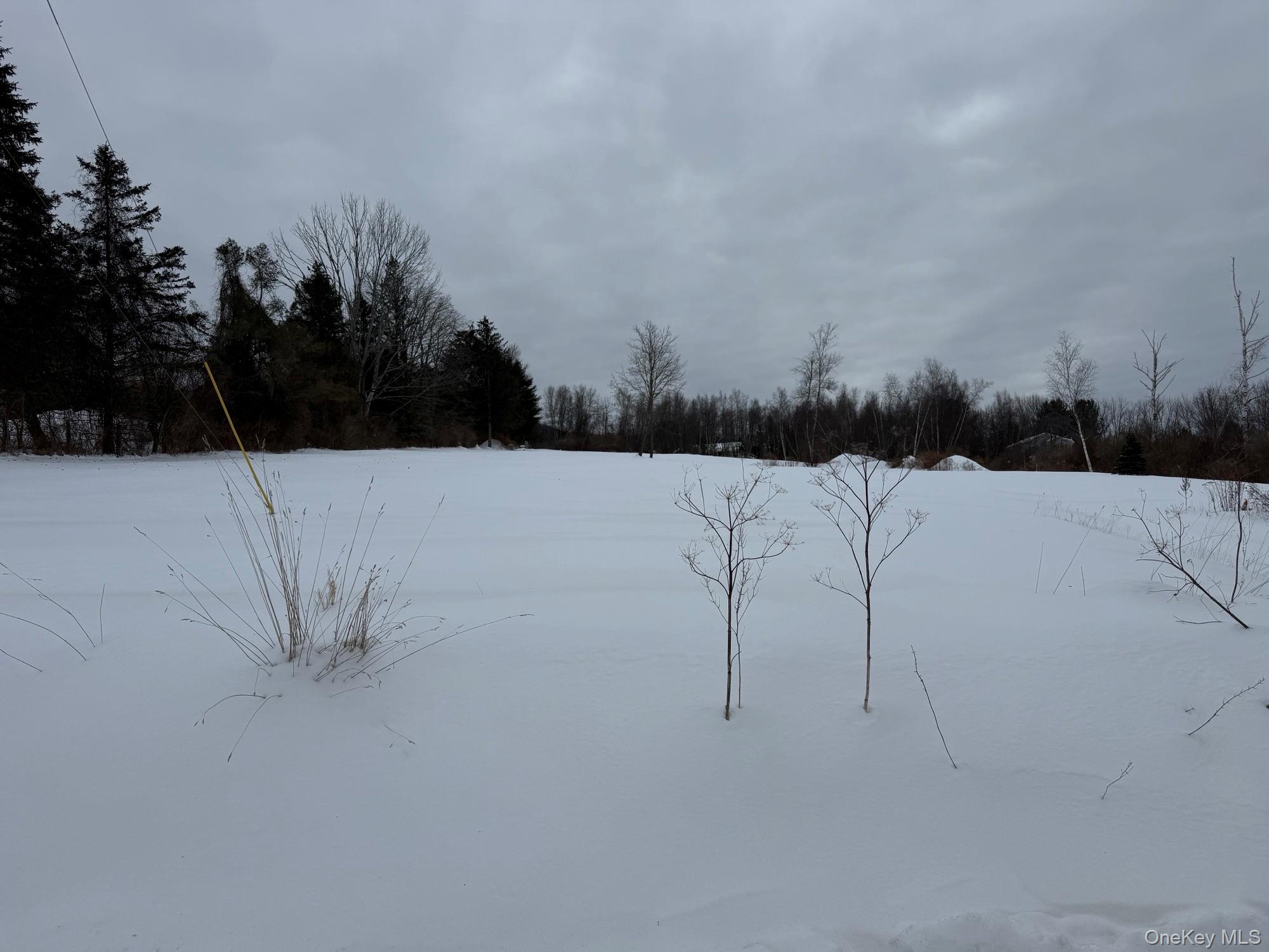 #4 photo, 8 yellow city rd, Amenia , NY 12501