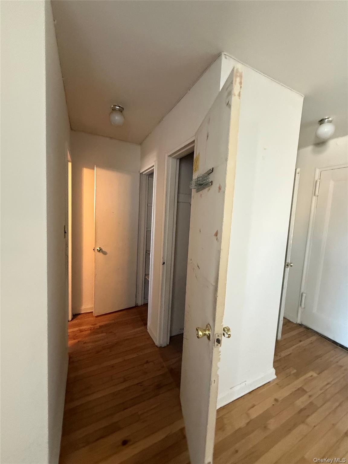 #4 photo, 67-25 Clyde Street, Forest Hills , NY 11375