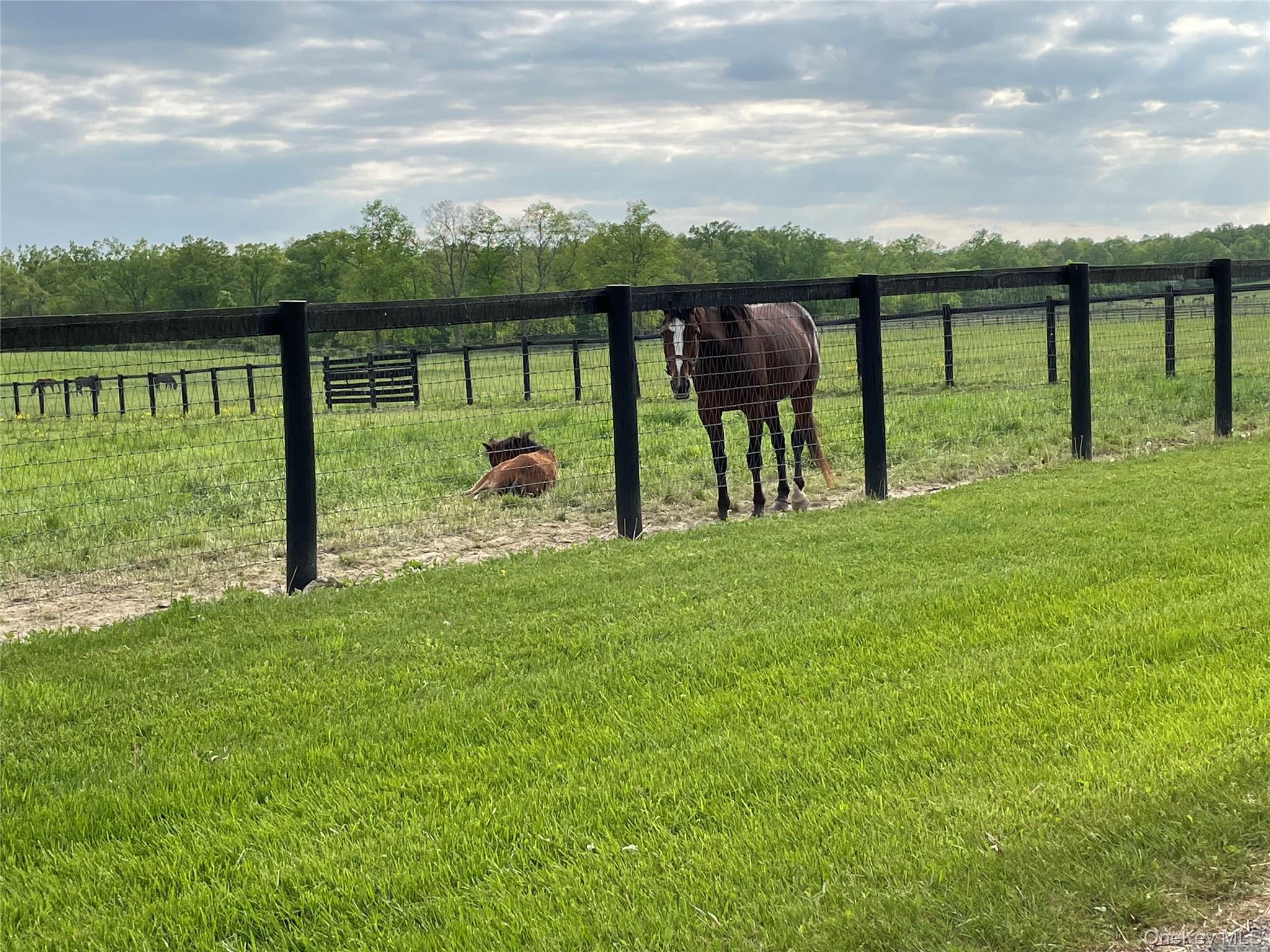 #2 photo, 40 Bates Lane, Wallkill , NY 12589