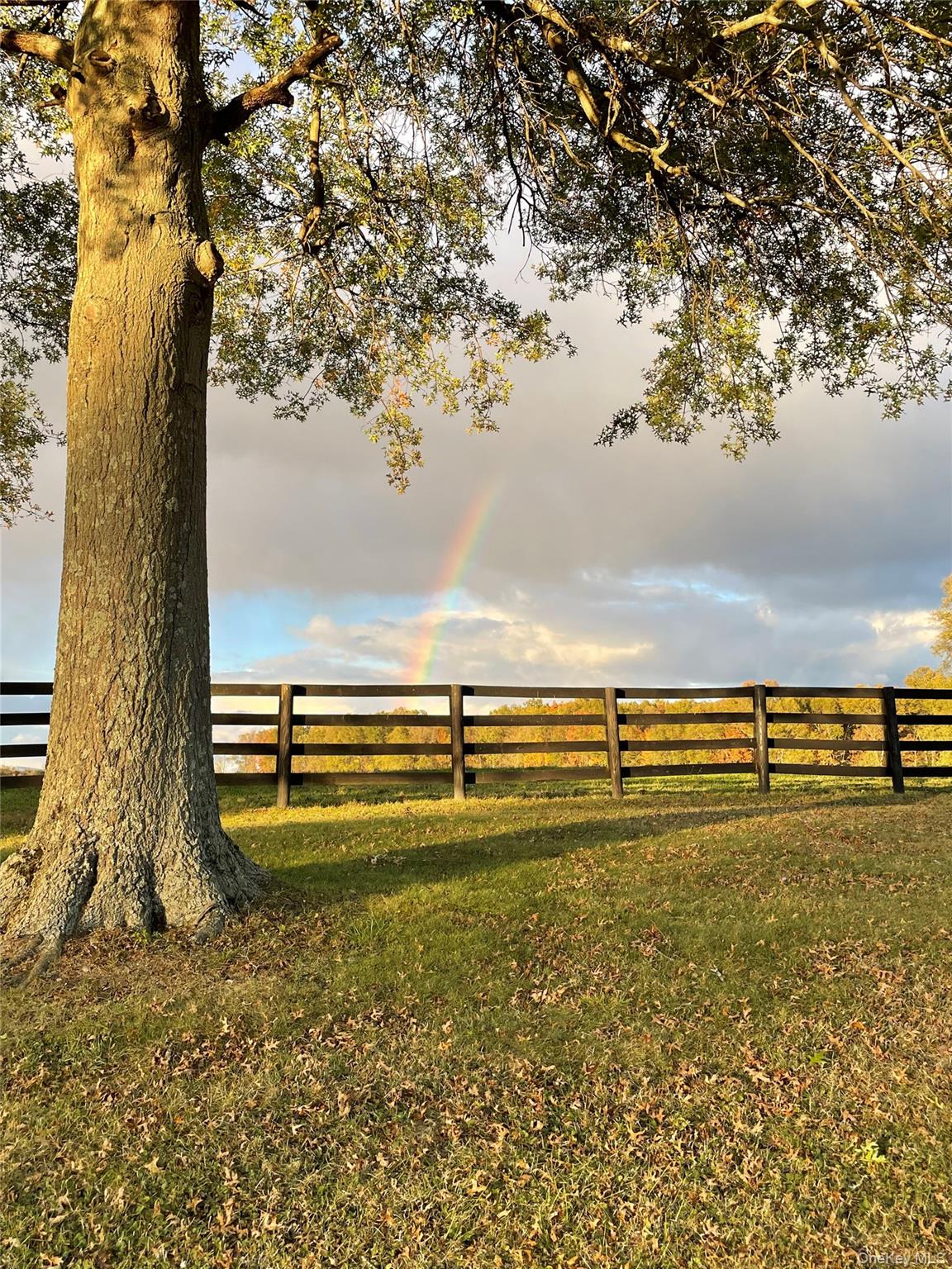 #3 photo, 40 Bates Lane, Wallkill , NY 12589