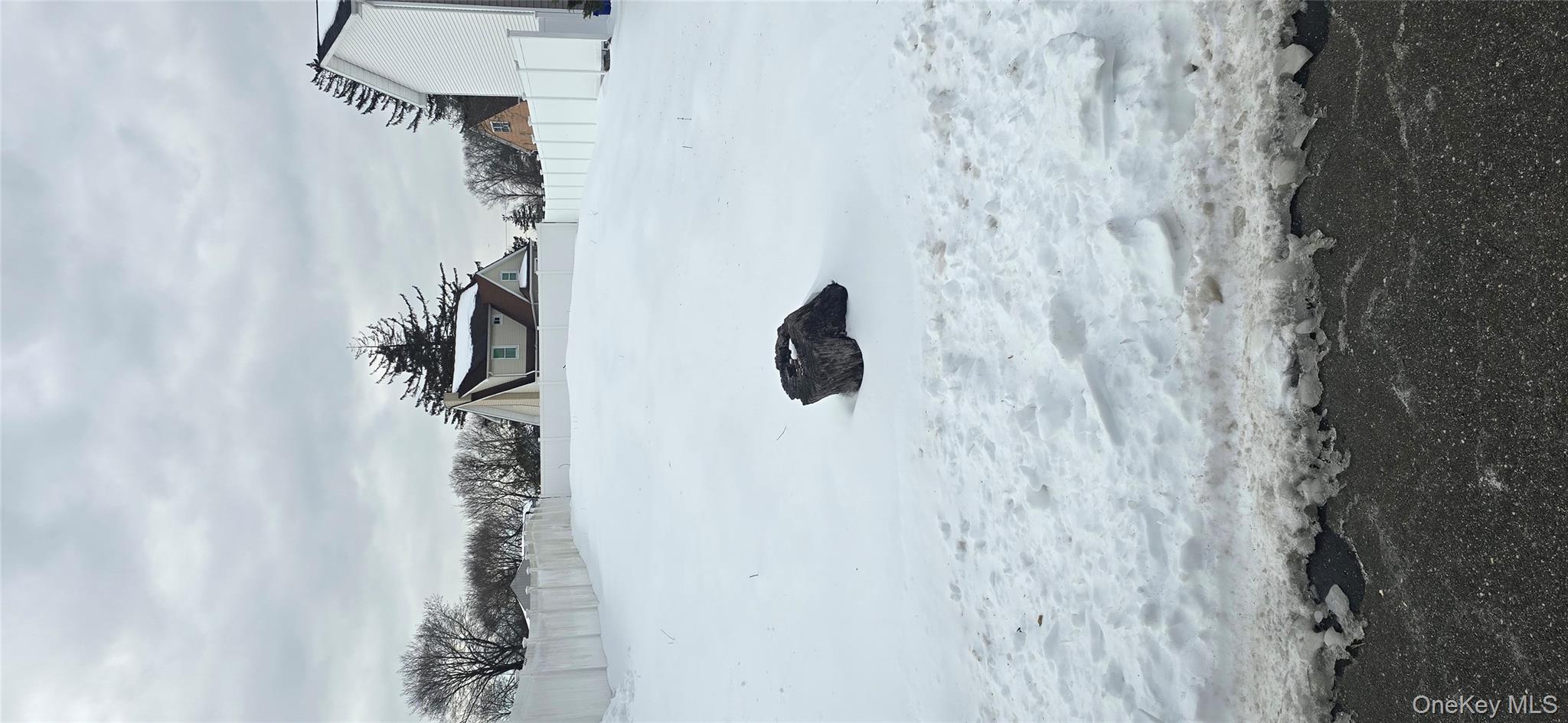 #2 photo, 20 Chestnut Street, Wyandanch , NY 11798