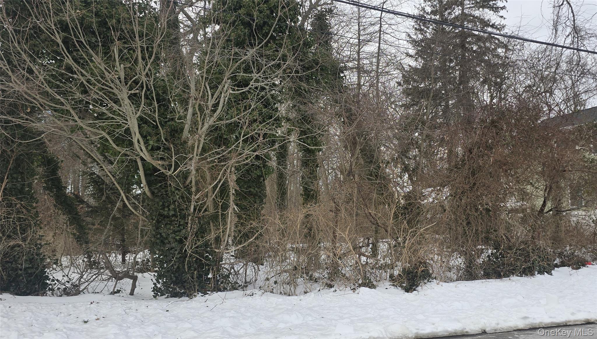 #2 photo, 16 Hickory Street, Wyandanch , NY 11798