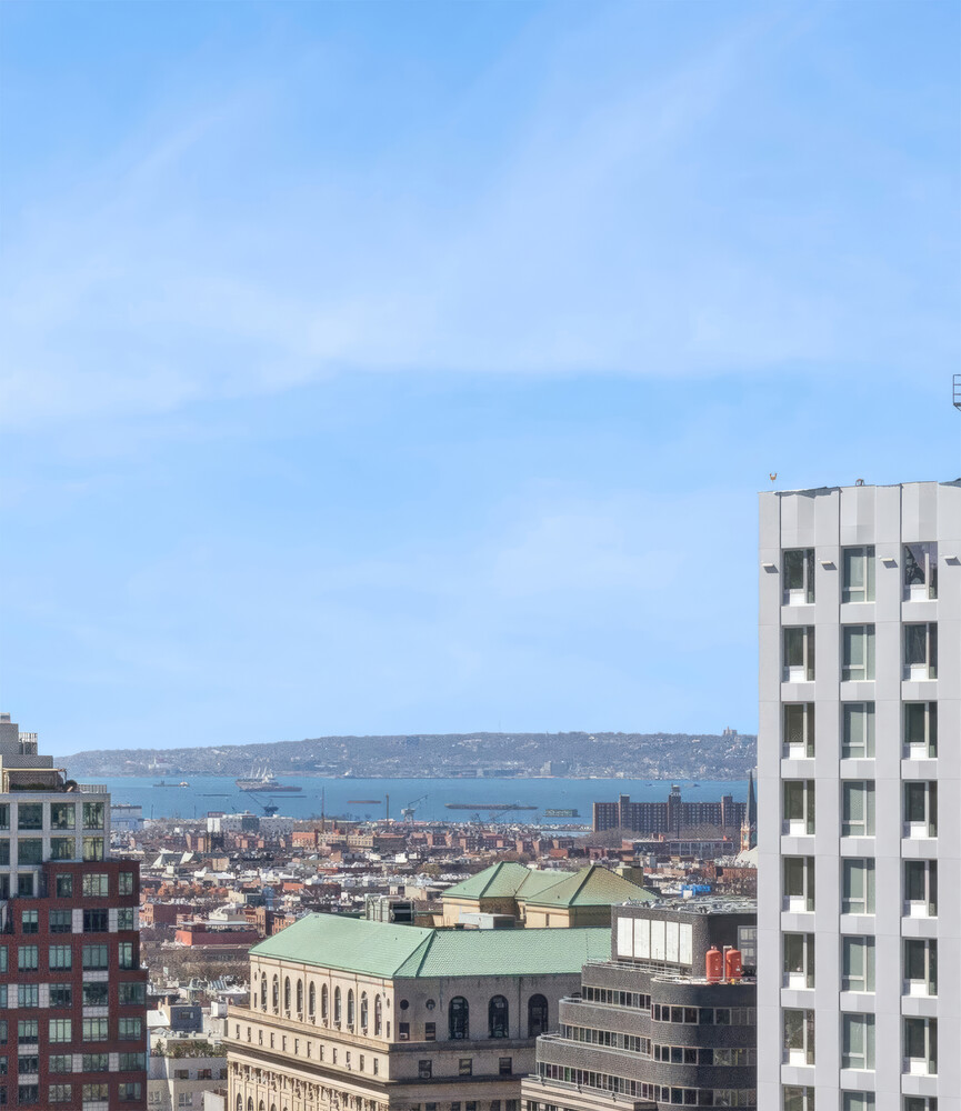 #5 photo, 365 BRIDGE Street, Downtown Brooklyn , NY 11201