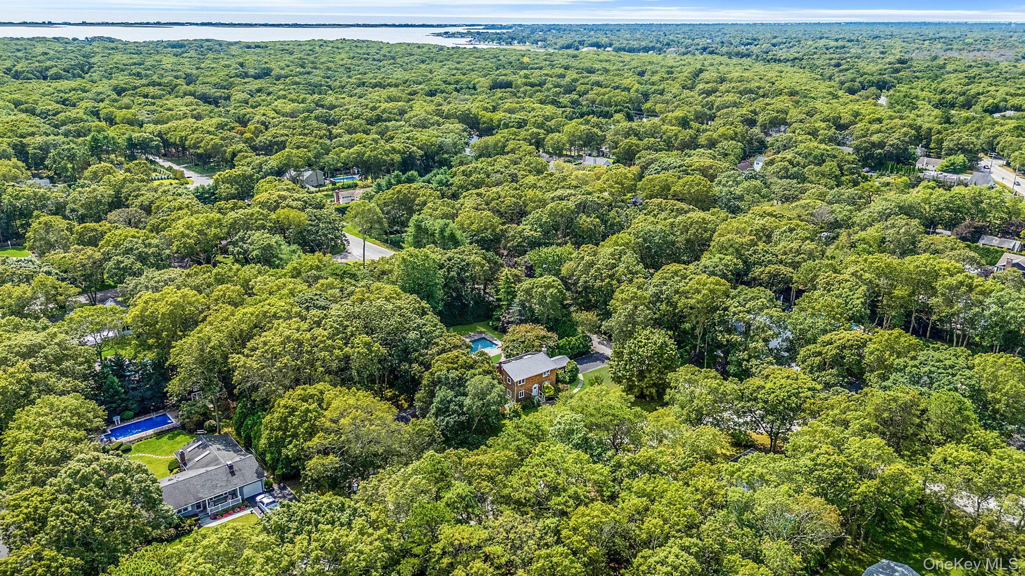 #11 photo, 19 Pine Tree Lane, সাফোক কাউন্টি East Quogue , NY 11942