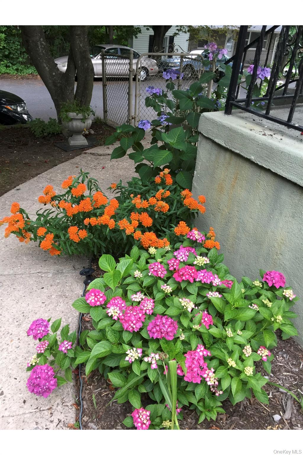 #15 photo, 3 Vine Road, Rocky Point , NY 11778