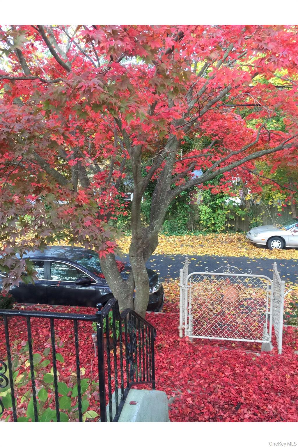 #17 photo, 3 Vine Road, Rocky Point , NY 11778