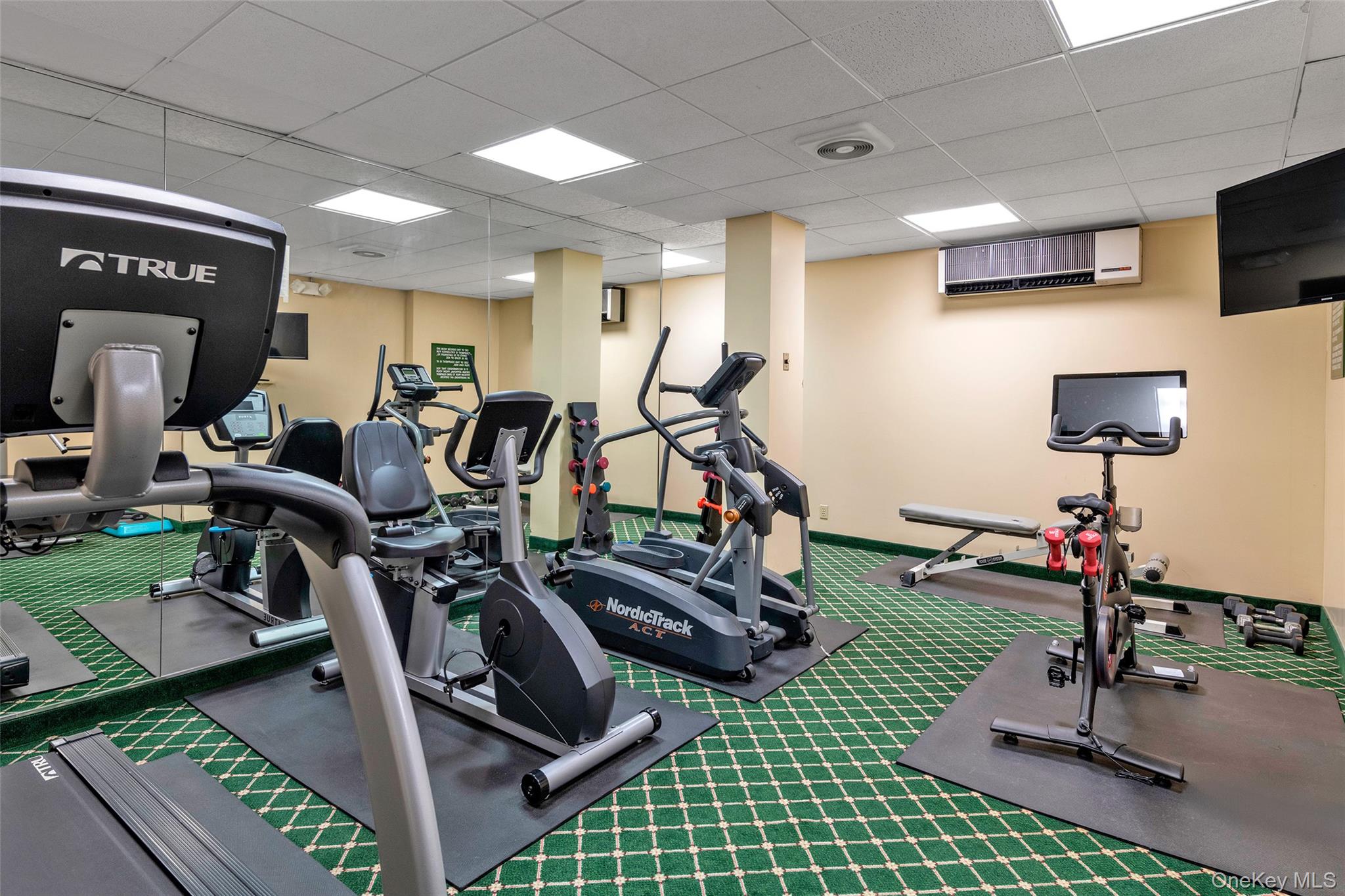 #20 photo, 20 Canterbury Road, Great Neck , NY 11021