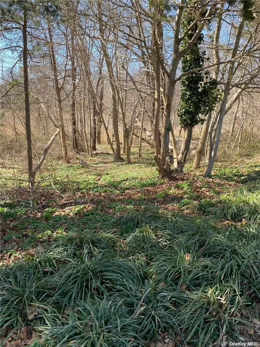 #7 photo, 955 Blossom Bend, Mattituck , NY 11952