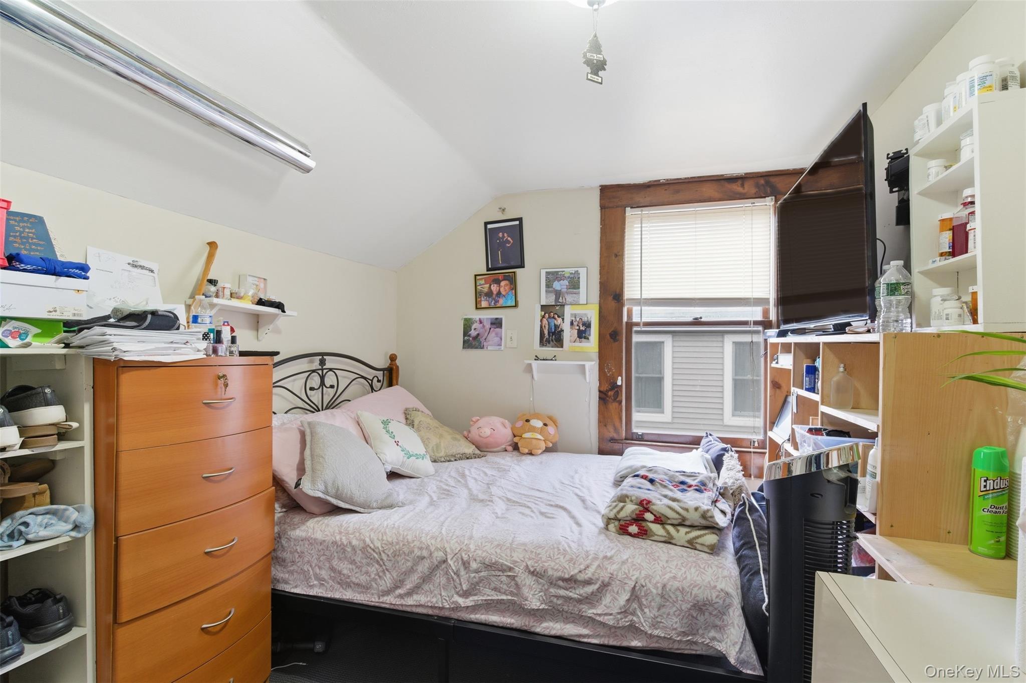 #10 photo, 7 Cheshire Street, 东长岛 Huntington Station , NY 11746