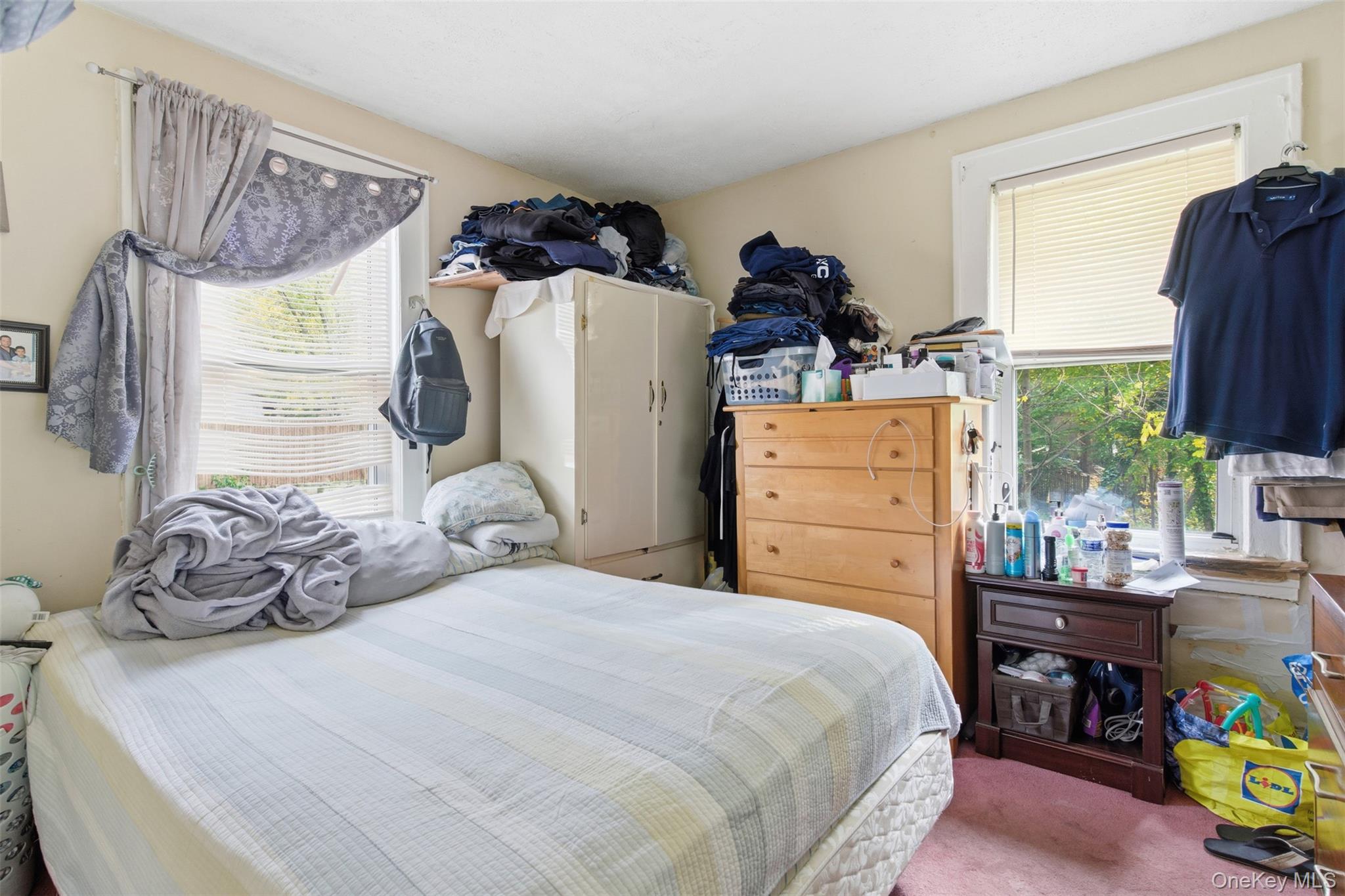 #8 photo, 7 Cheshire Street, 东长岛 Huntington Station , NY 11746