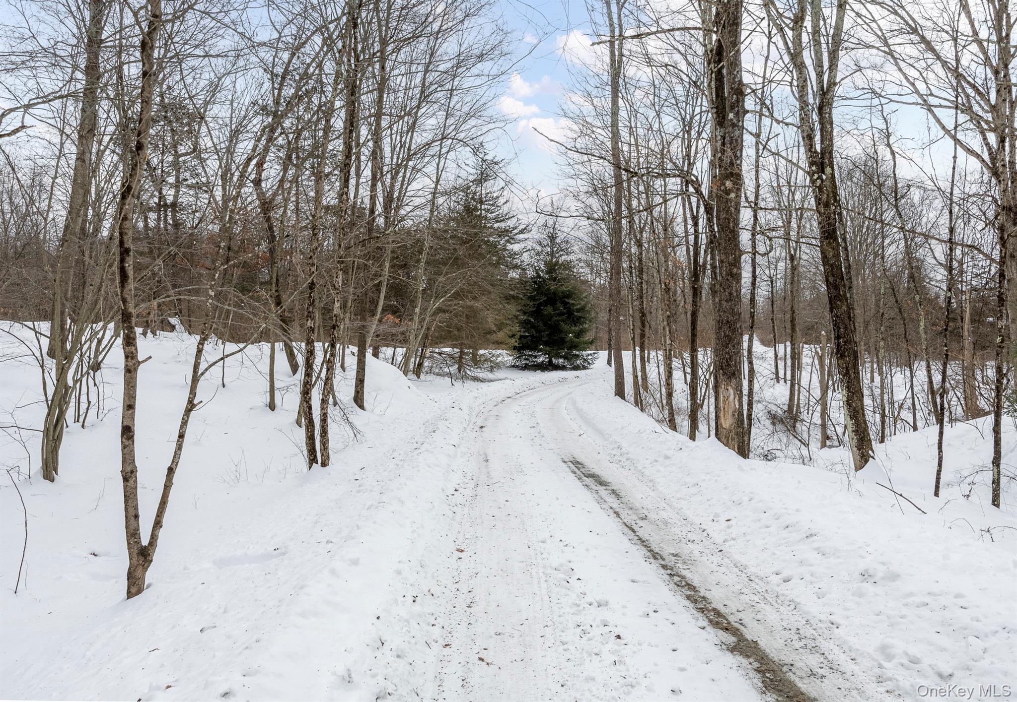 #13 photo, 35 Appaloosa Lane, Millbrook , NY 12545