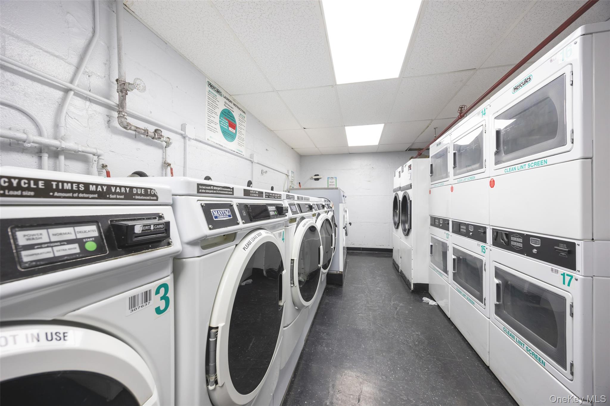 #13 photo, 3420 Parsons Boulevard, クイーンズ区 Flushing , NY 11354