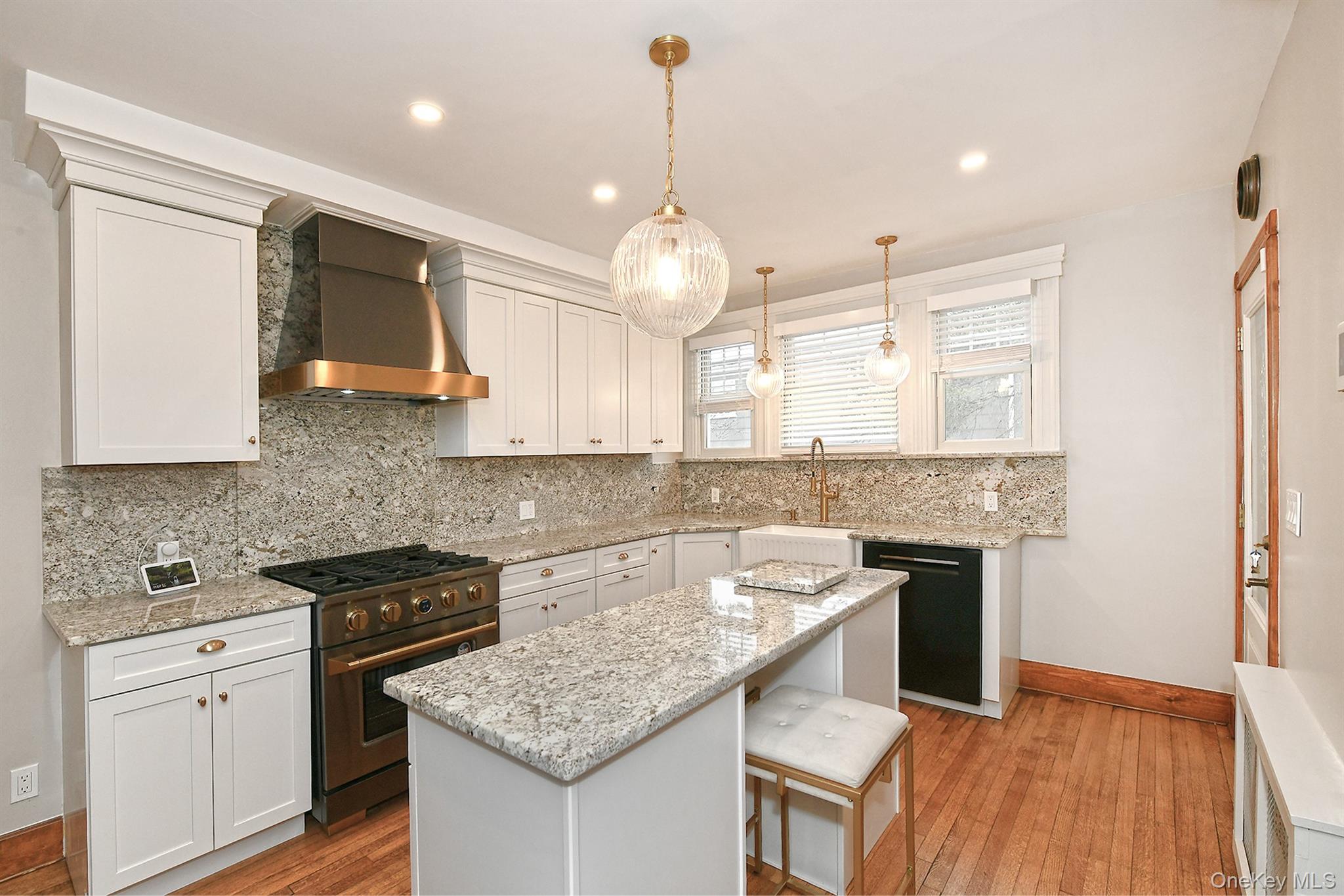 #16 photo, 198 Warner Avenue, ナッソー郡 Roslyn Heights , NY 11577