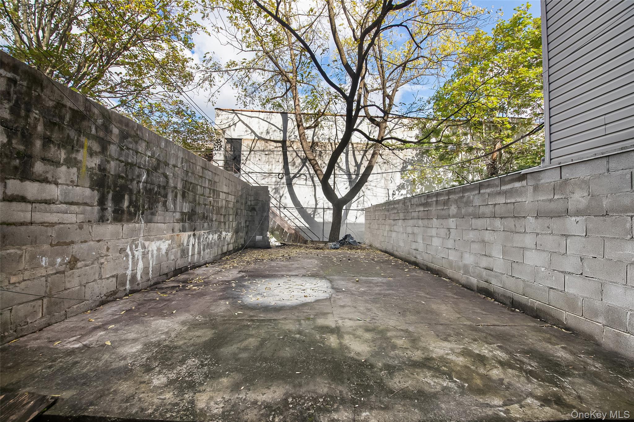 #11 photo, 35 Herkimer Street, ব্রুকলিন Brooklyn , NY 11216